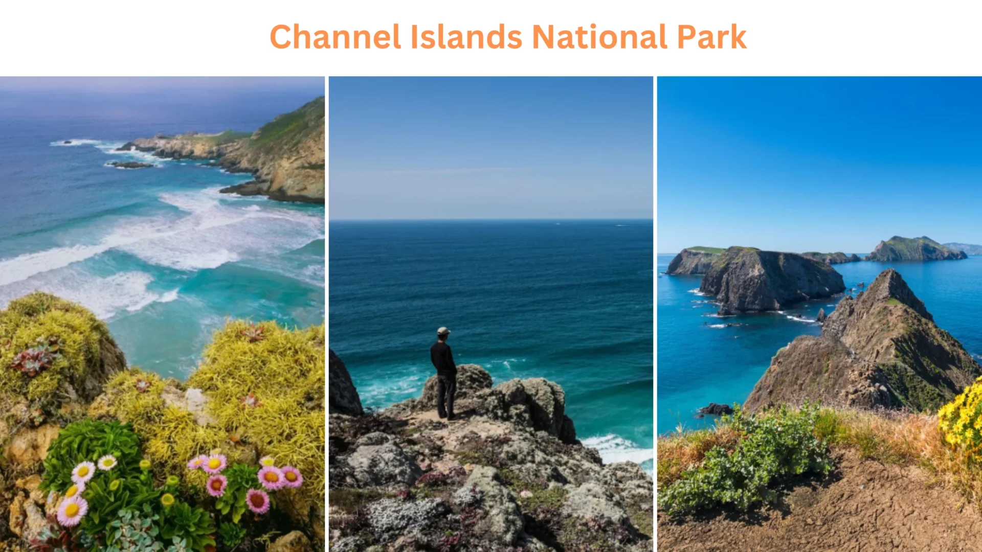 Channel Islands National Park