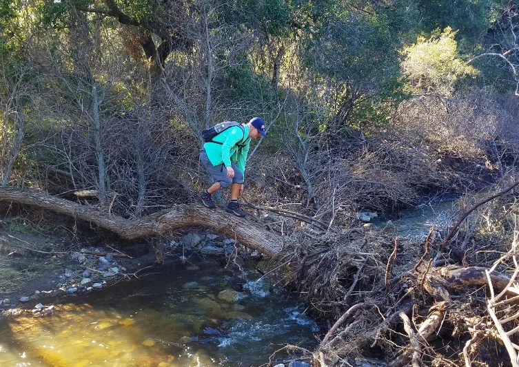 Cleveland National Forest