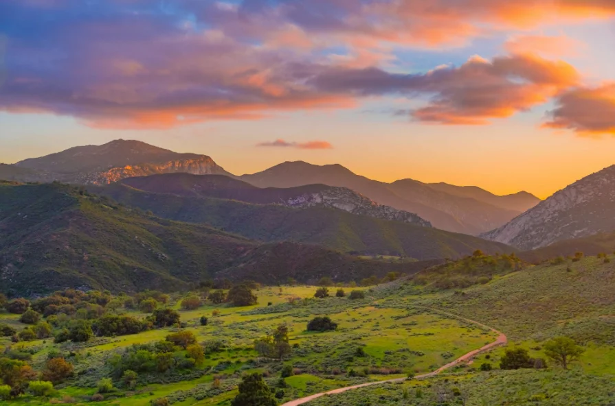 Cleveland National Forest