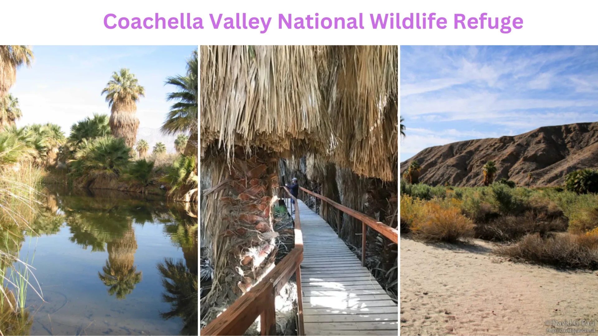 Coachella Valley National Wildlife Refuge