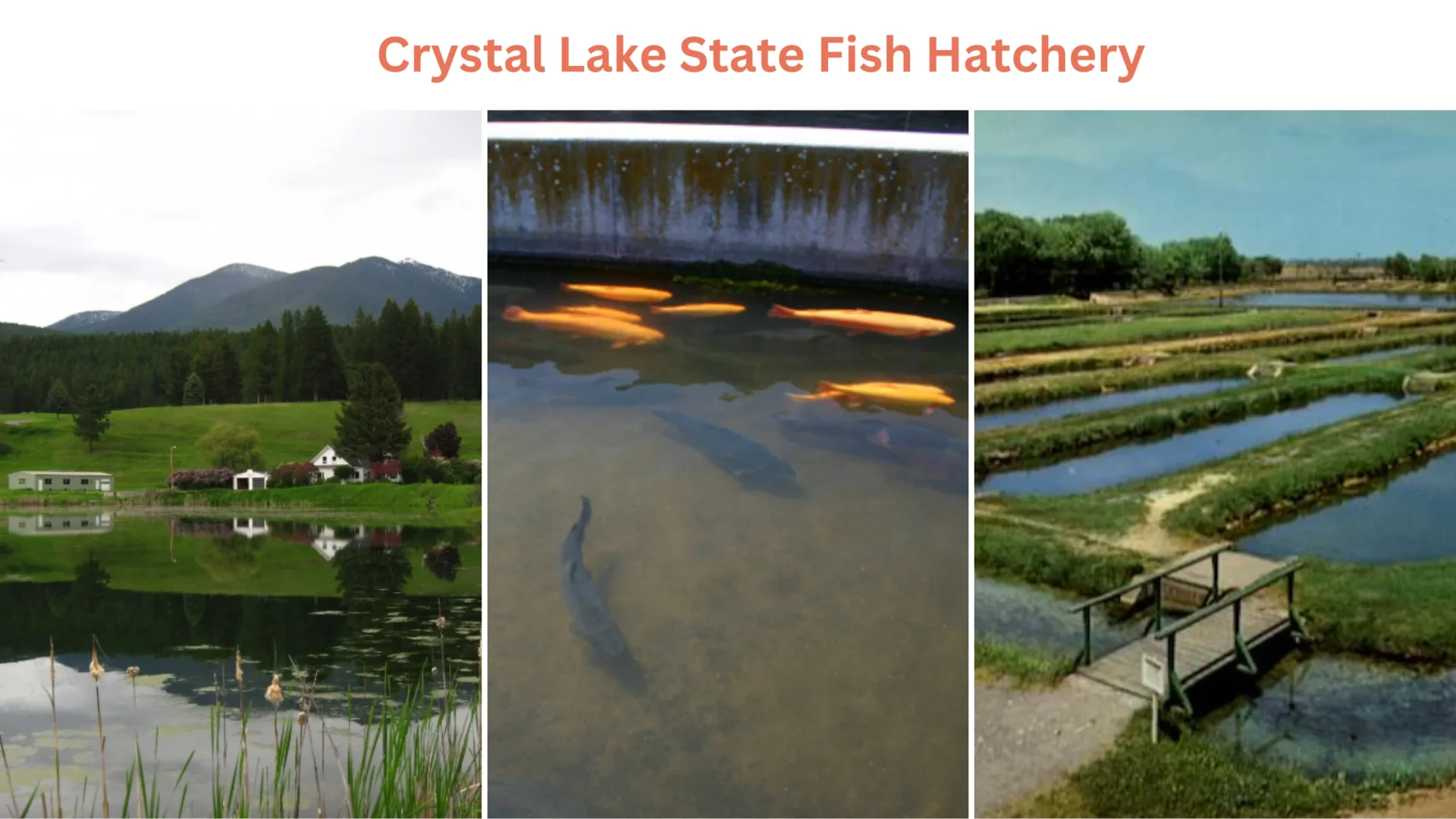 Crystal Lake State Fish Hatchery