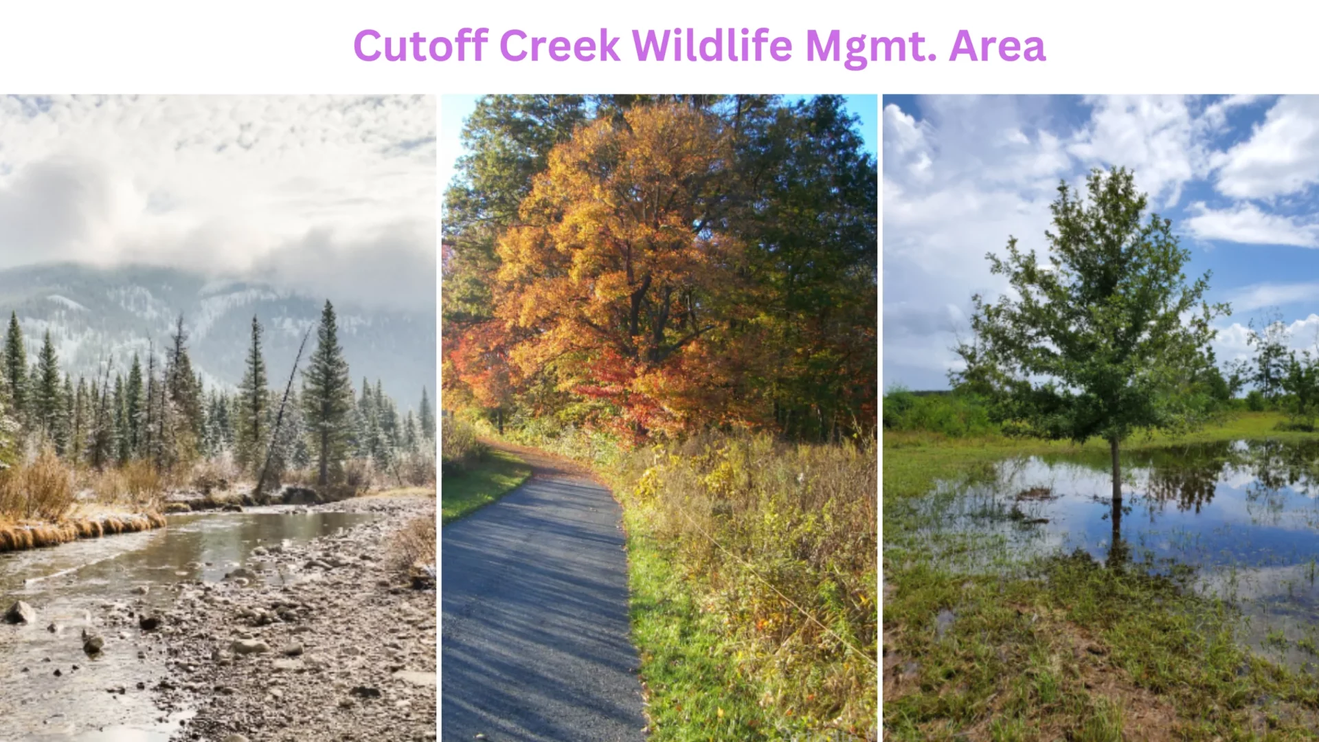 Cutoff Creek Wildlife Mgmt. Area