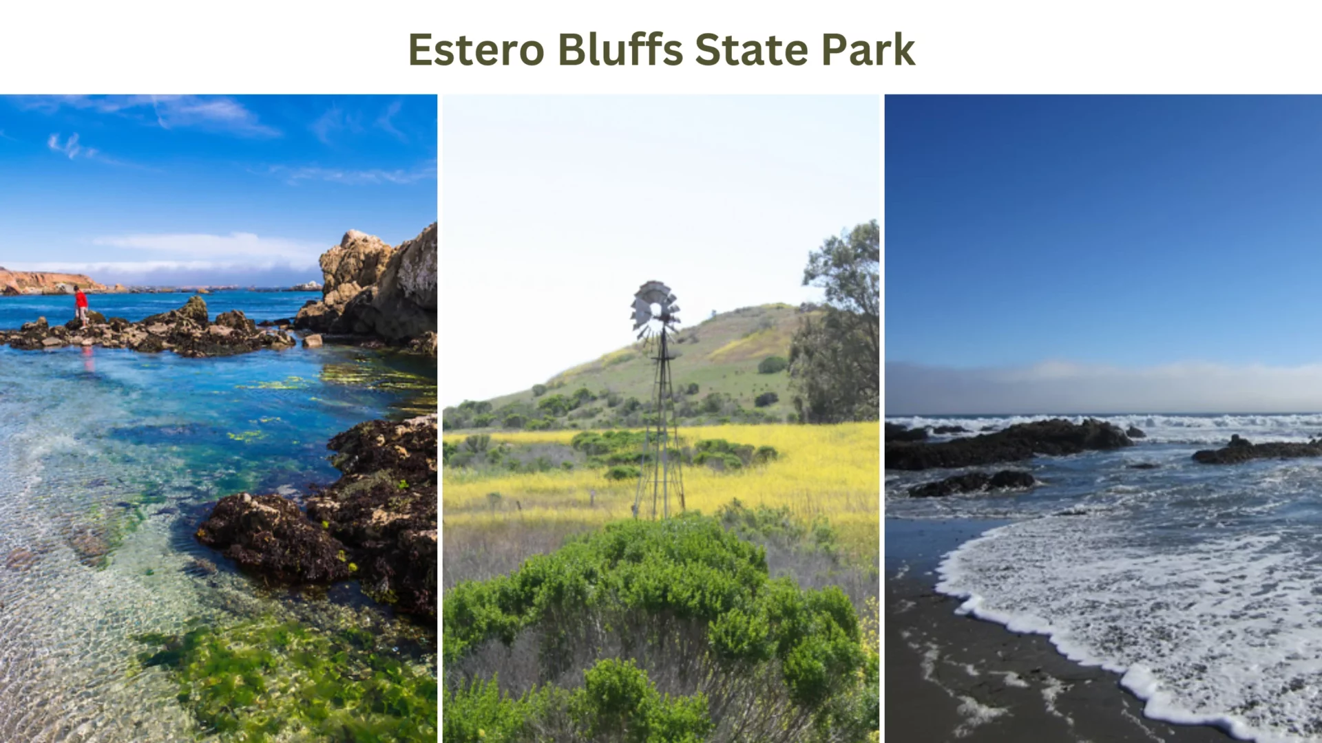 Estero Bluffs State Park