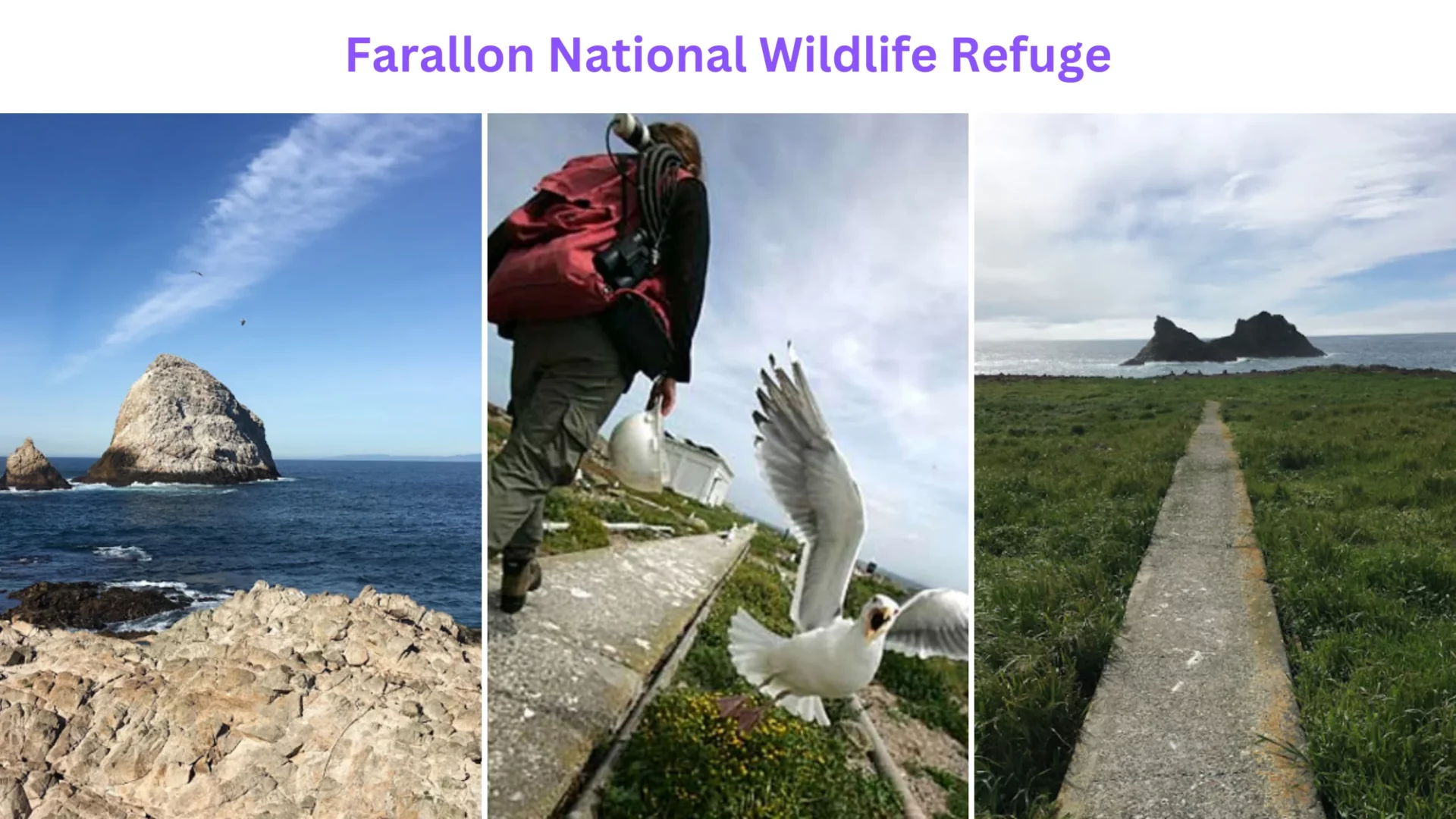 Farallon National Wildlife Refuge