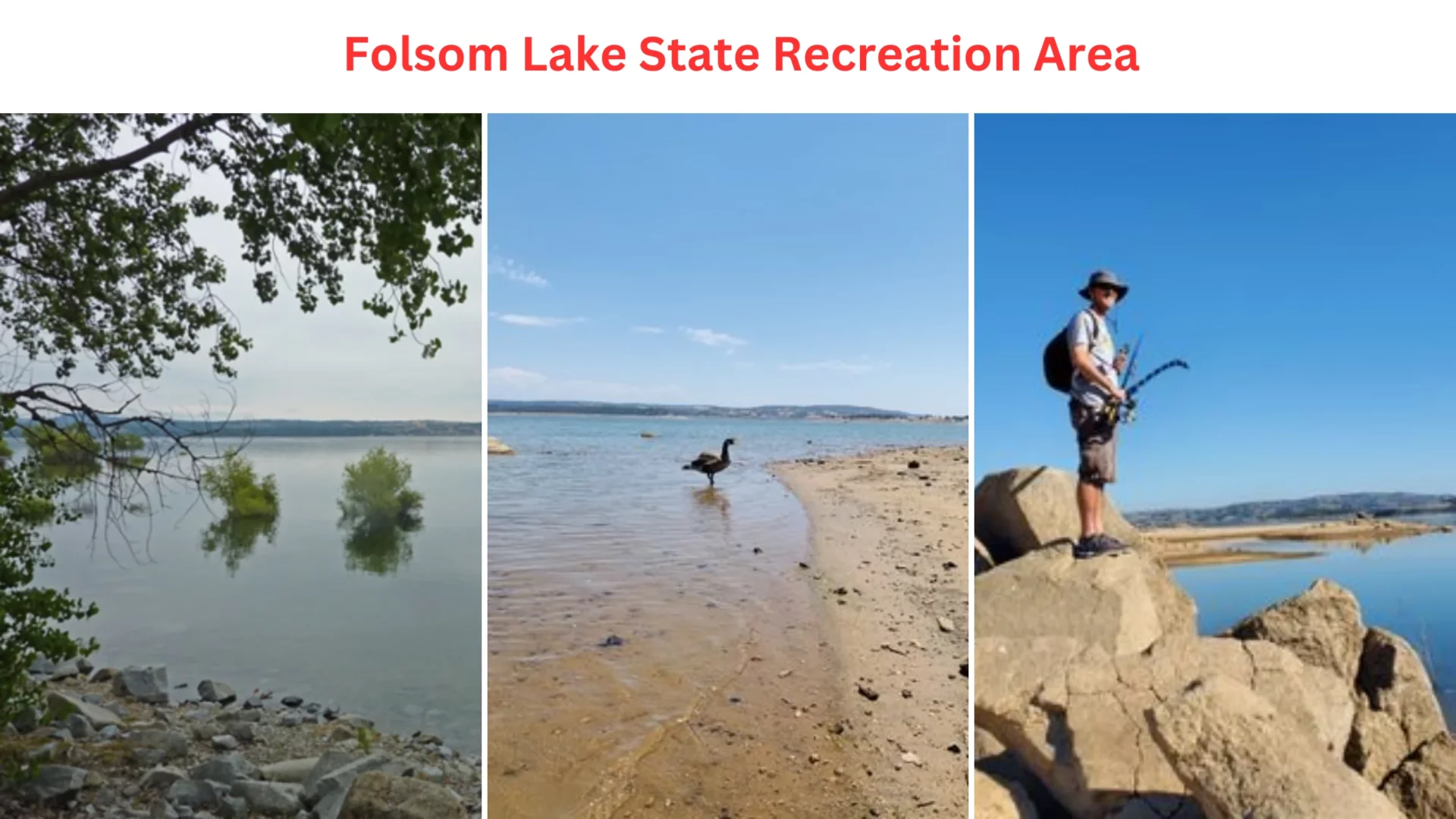 Folsom Lake State Recreation Area