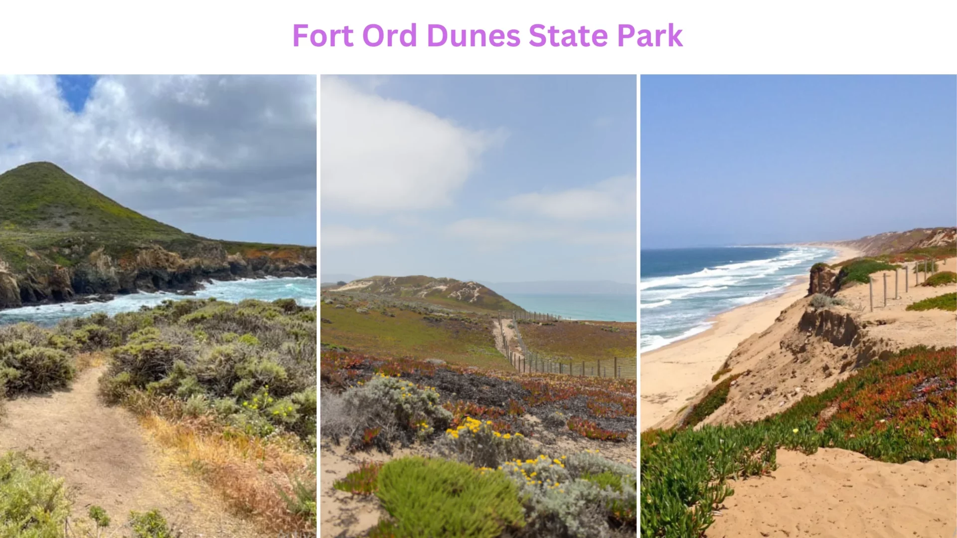 Fort Ord Dunes State Park