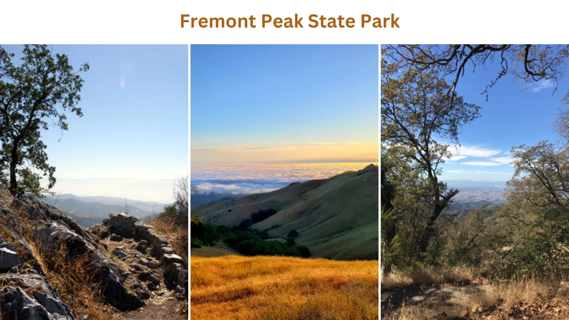 Fremont Peak State Park