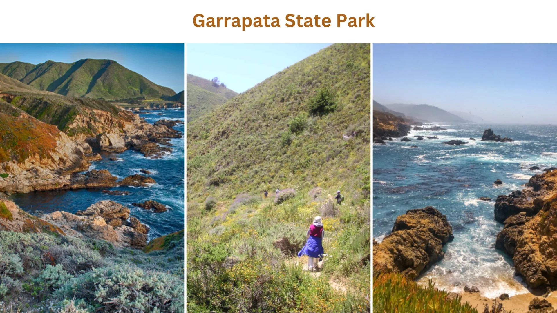 Garrapata State Park