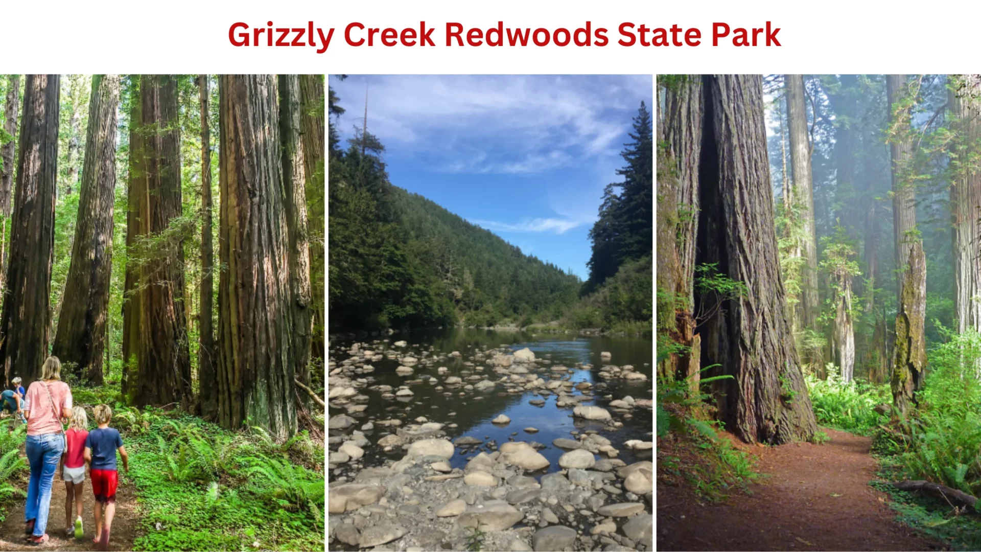 Grizzly Creek Redwoods State Park