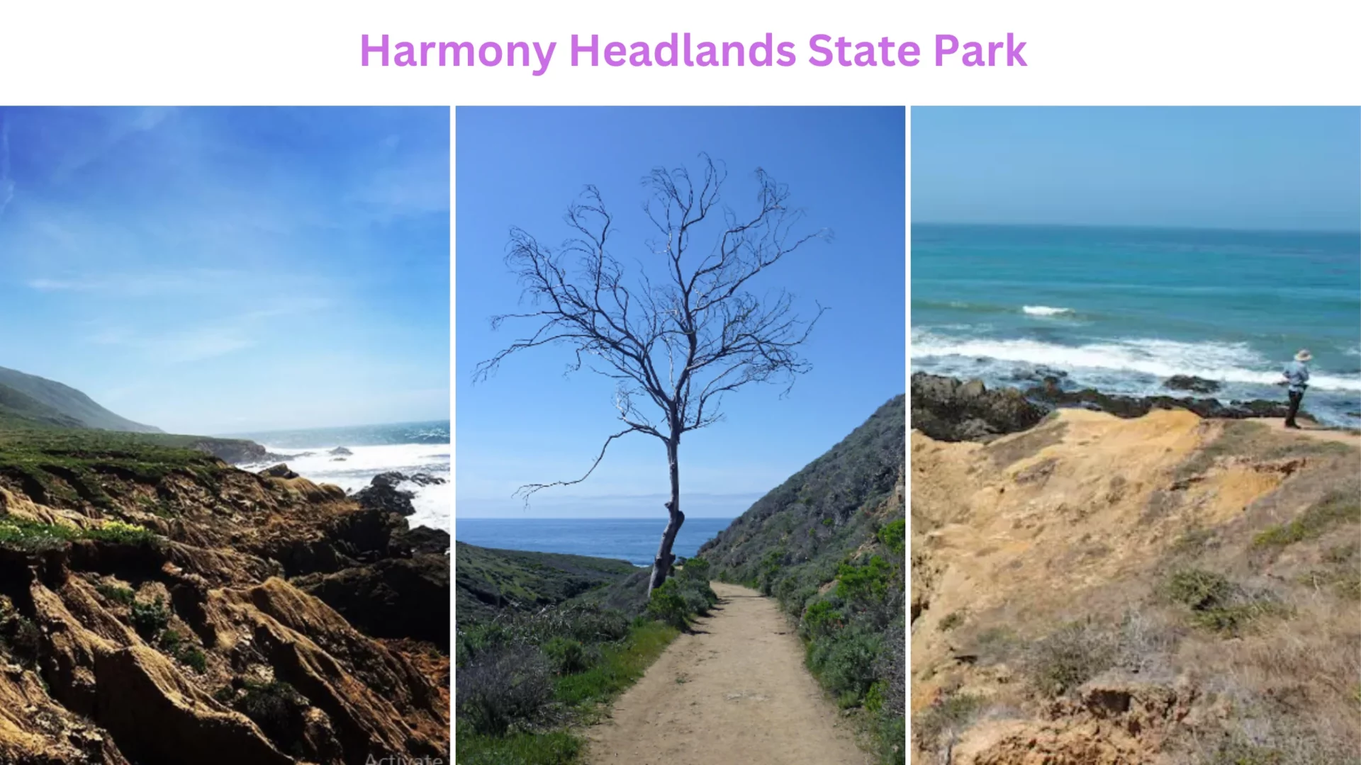 Harmony Headlands State Park