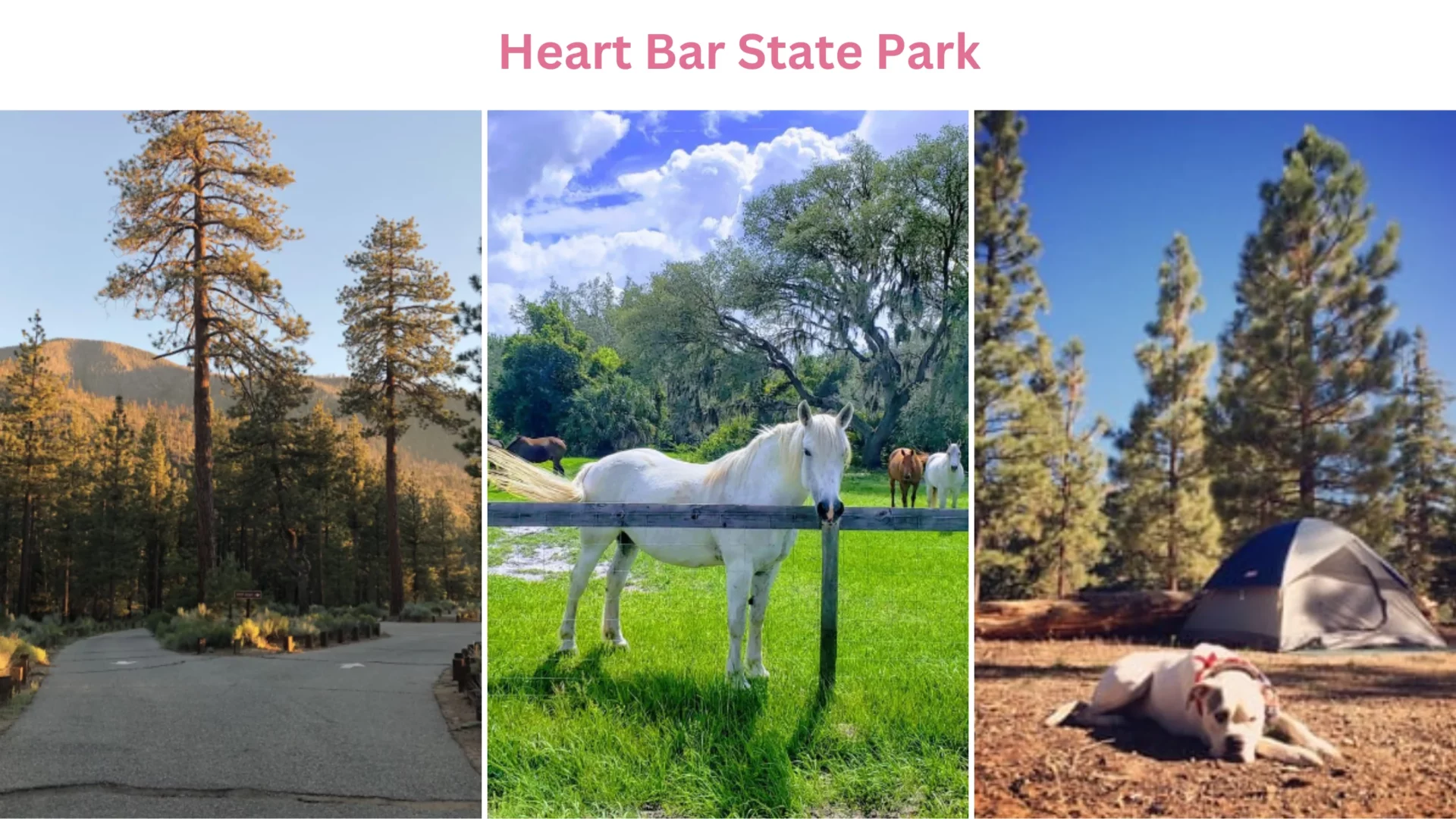 Heart Bar State Park