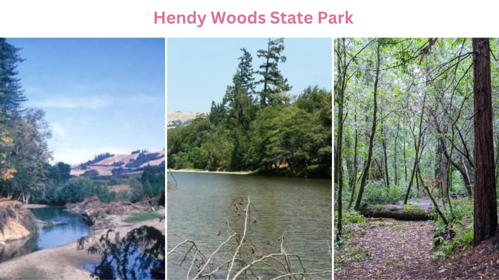 Hendy Woods State Park