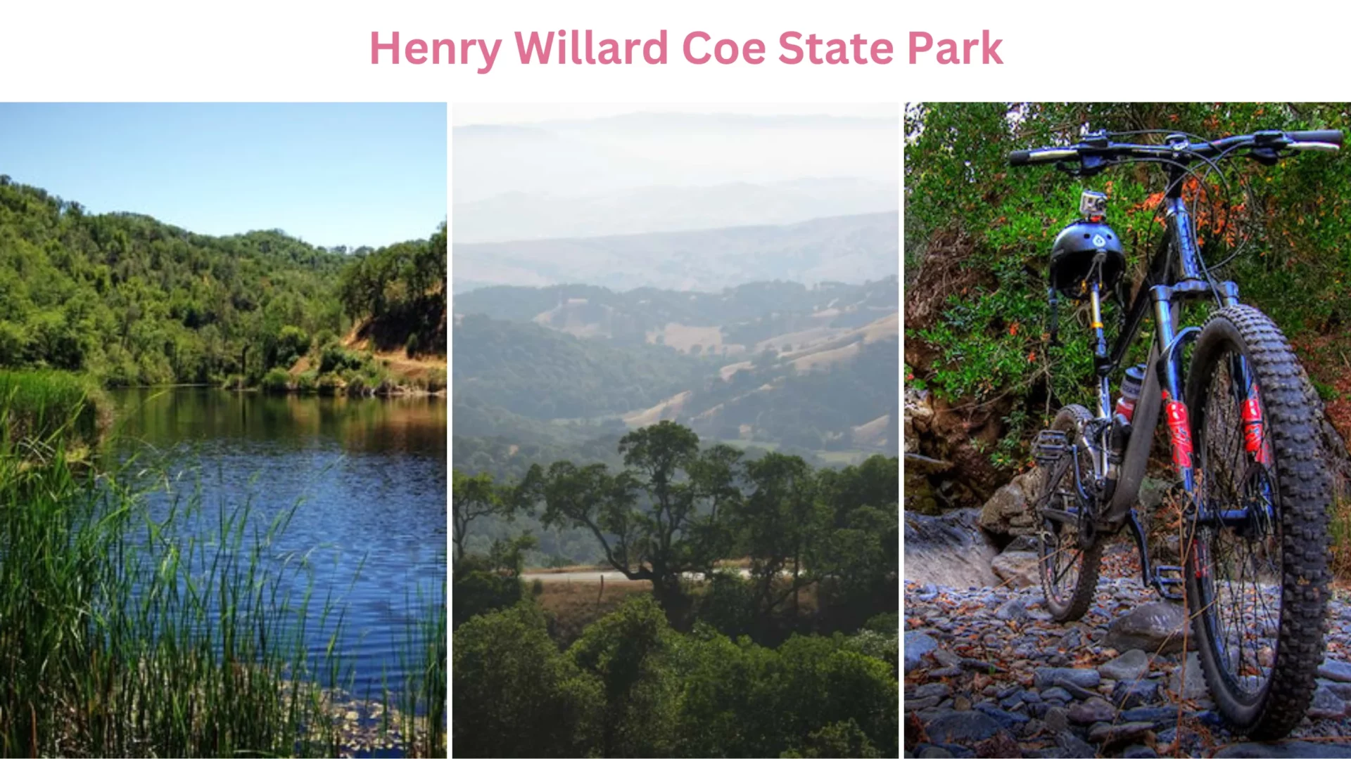 Henry Willard Coe State Park