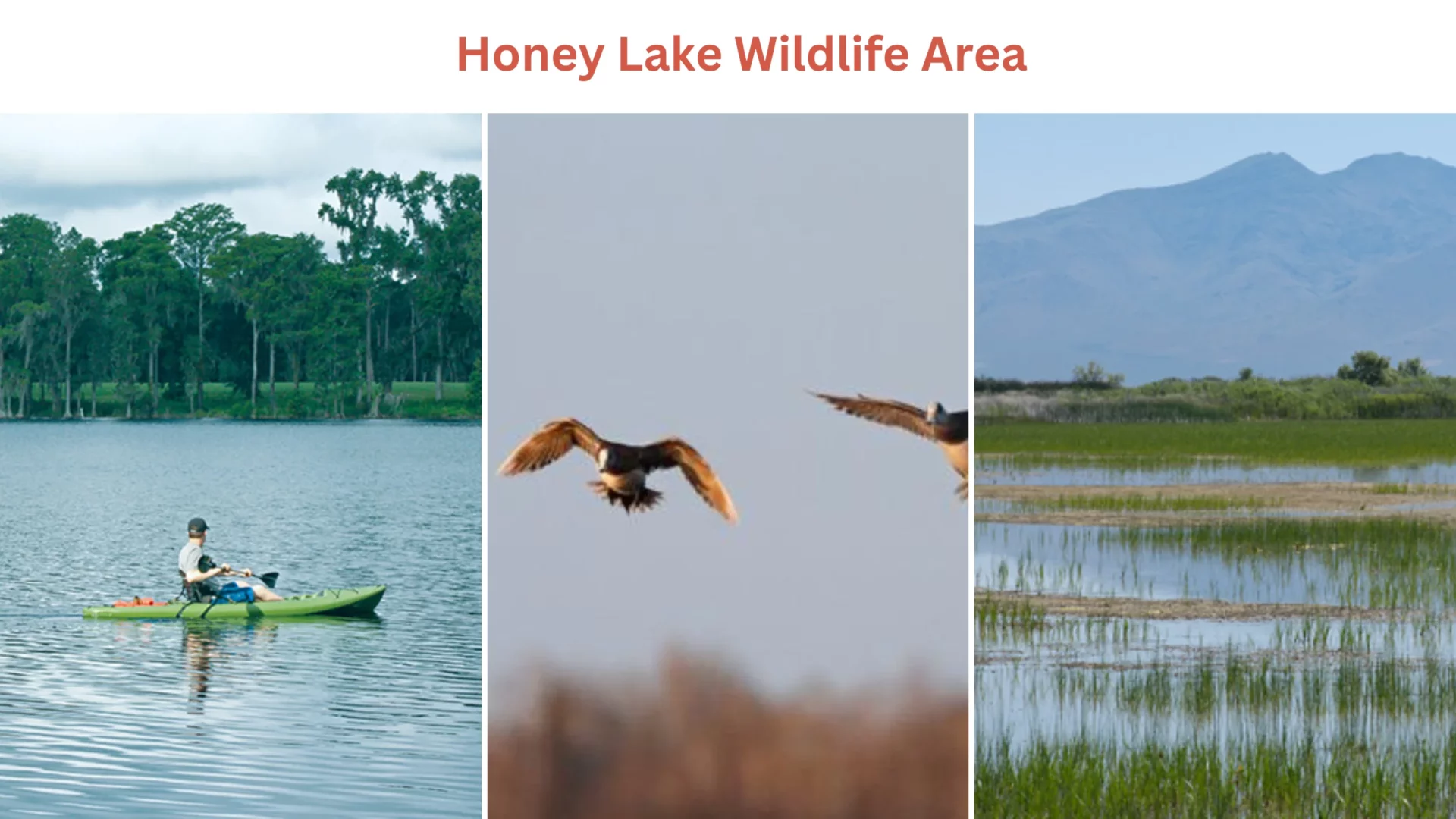 Honey Lake Wildlife Area