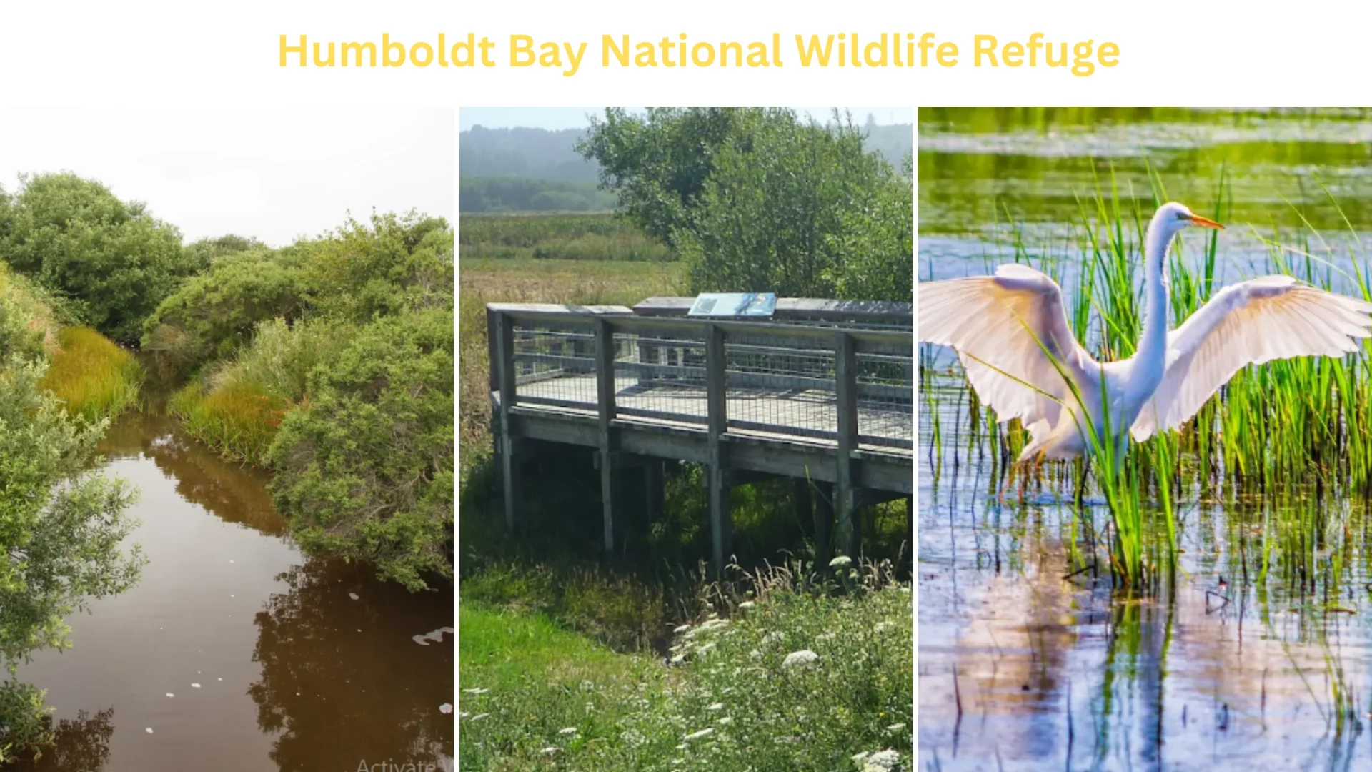 Humboldt Bay National Wildlife Refuge
