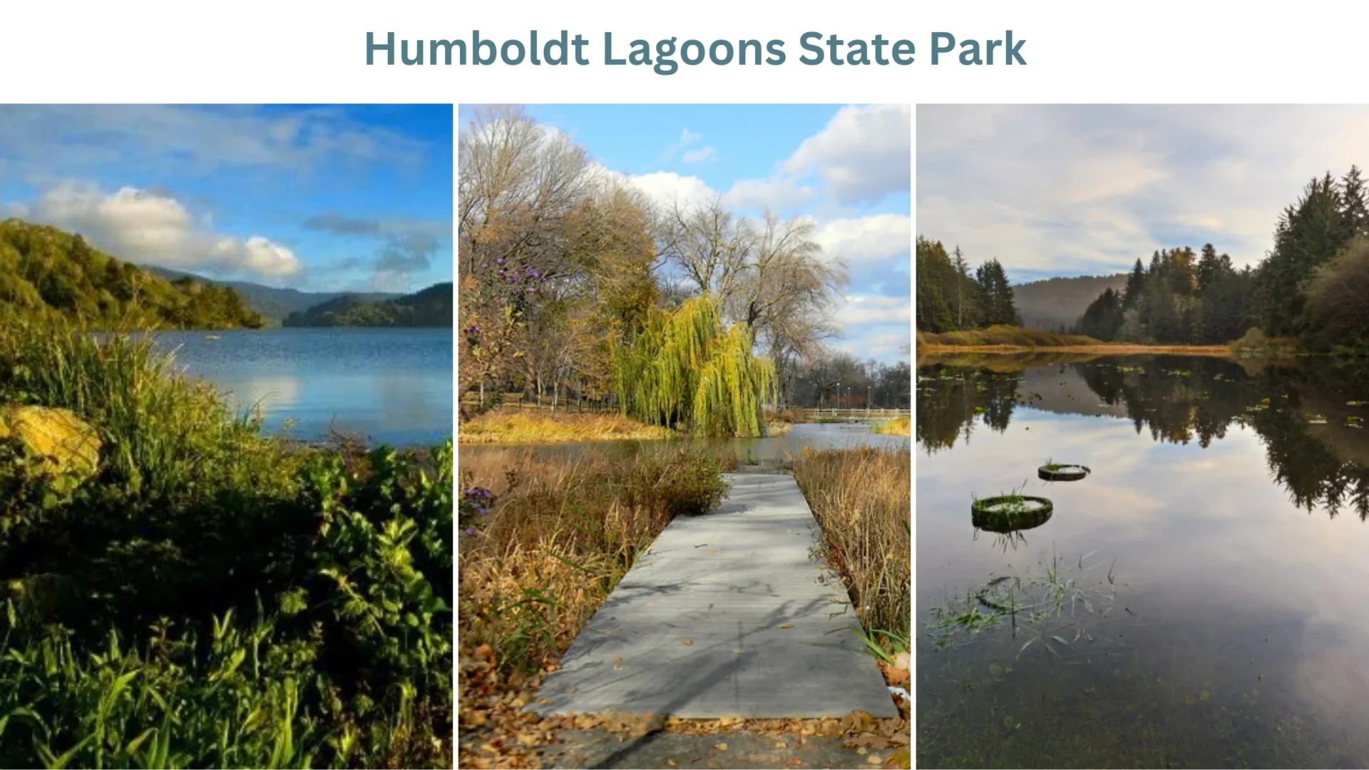 Humboldt Lagoons State Park