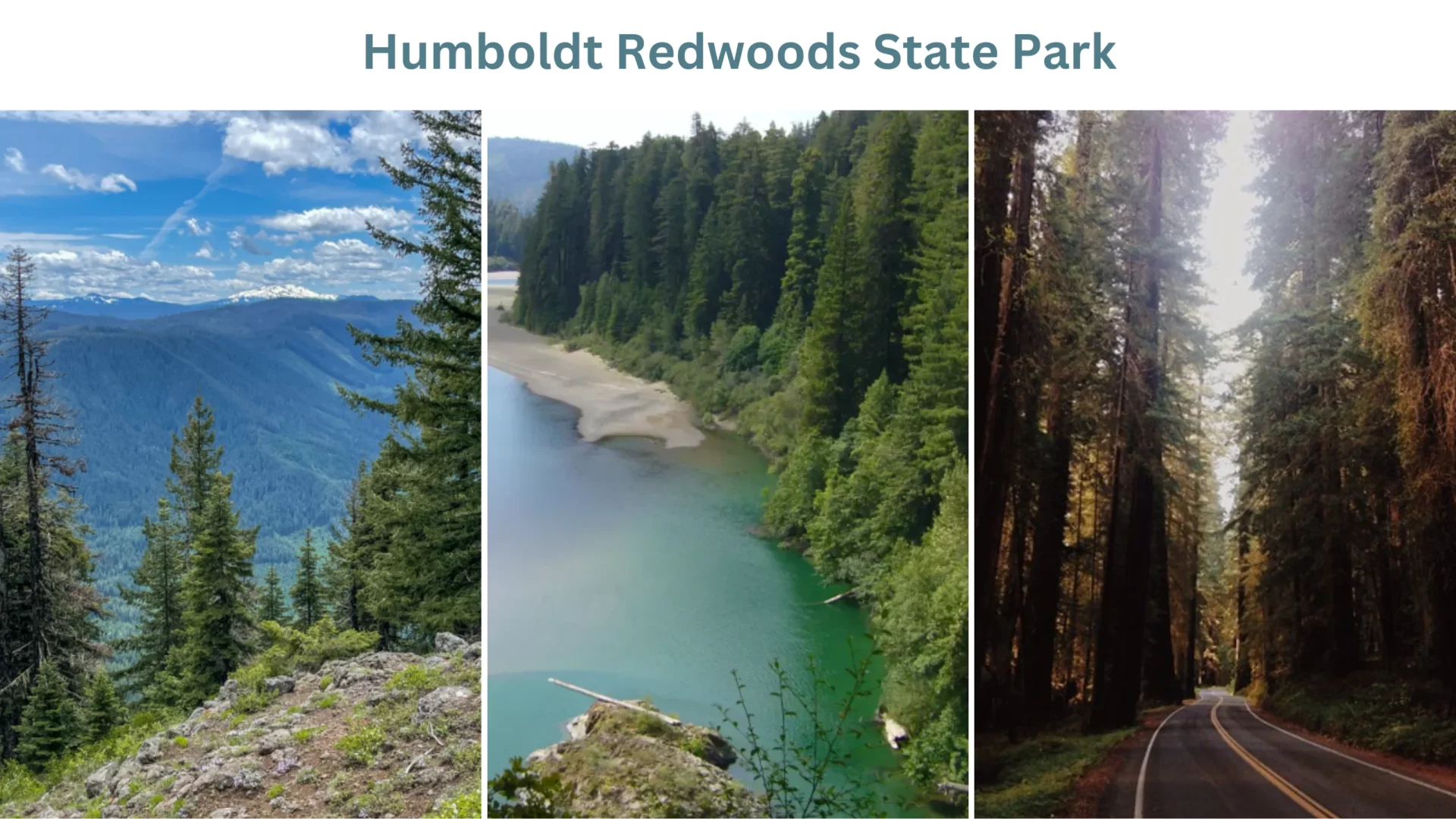 Humboldt Redwoods State Park