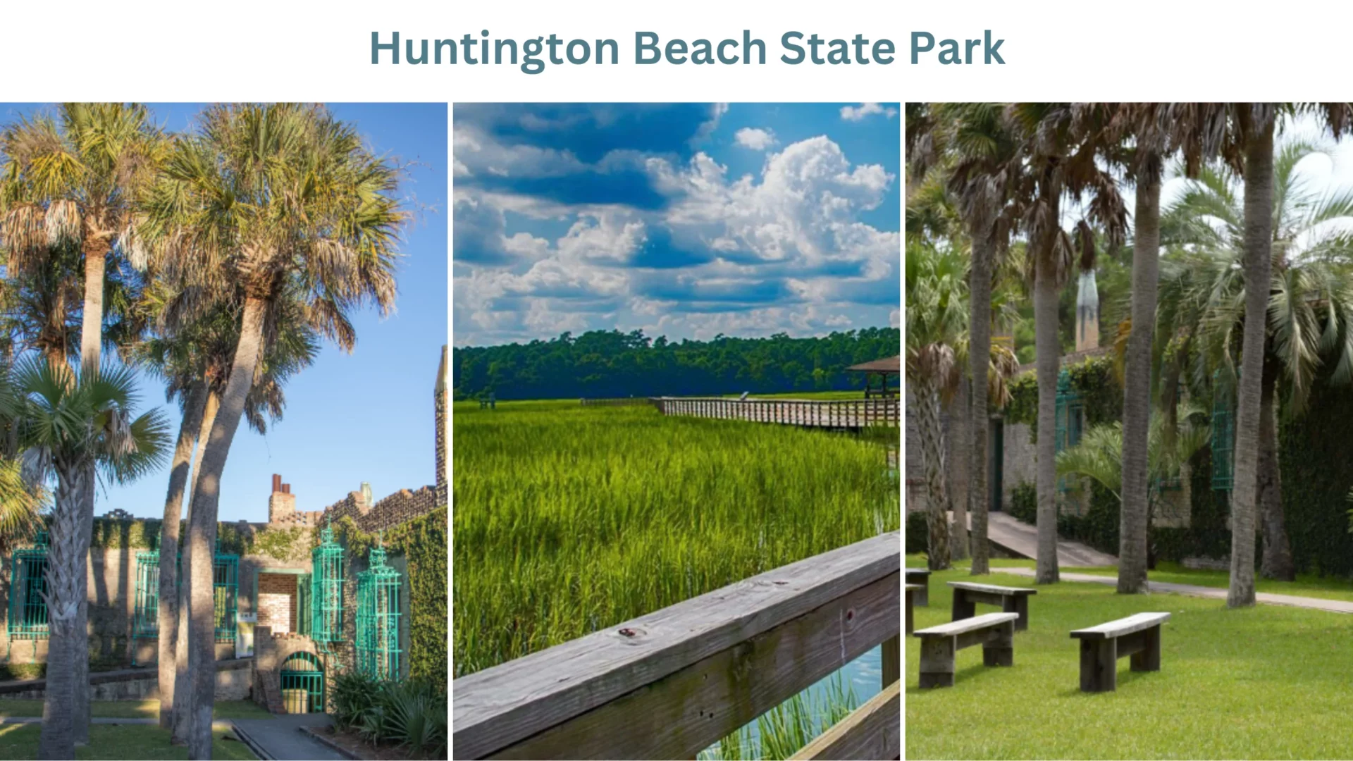 Huntington Beach State Park