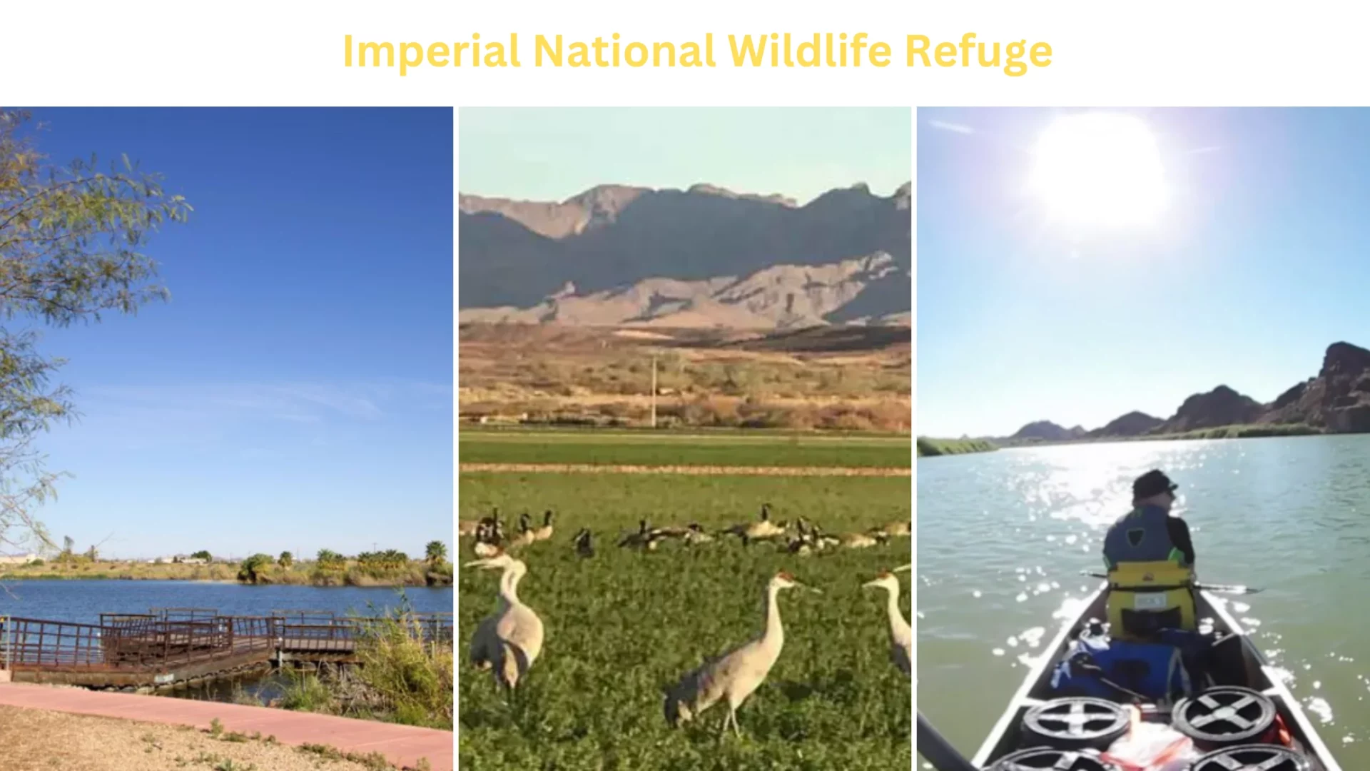 Imperial National Wildlife Refuge
