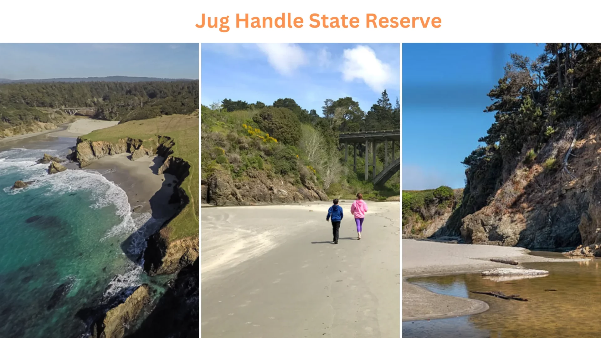 Jug Handle State Reserve