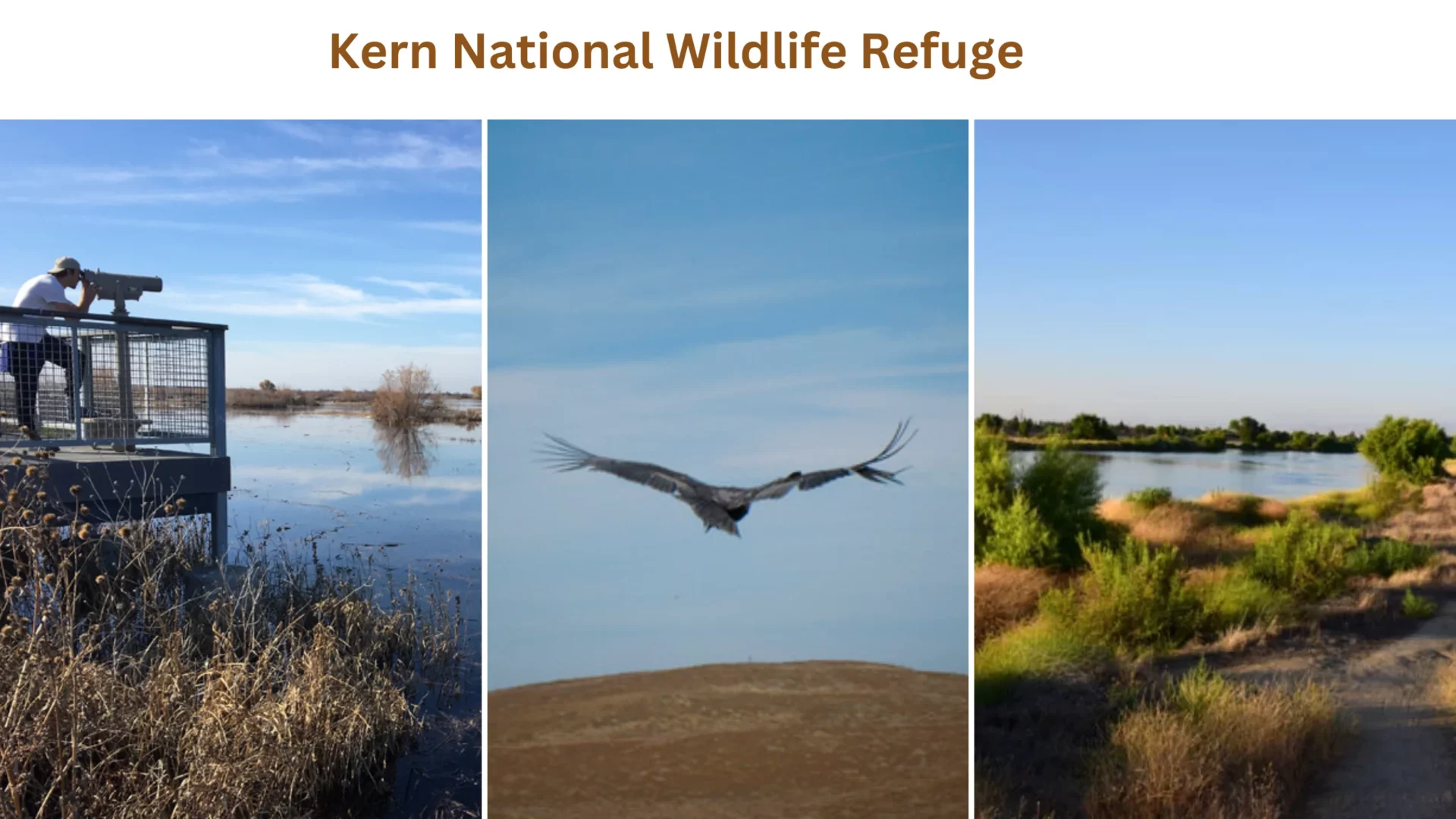 Kern National Wildlife Refuge