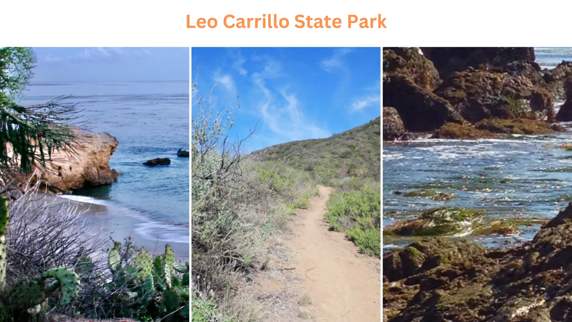 Leo Carrillo State Park