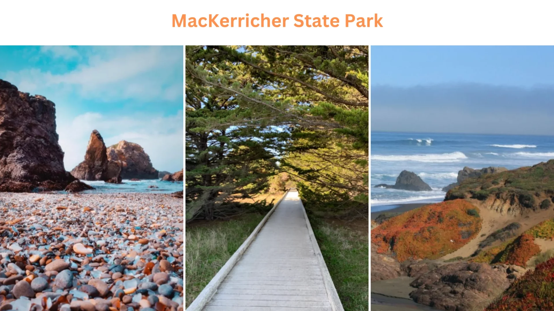 MacKerricher State Park