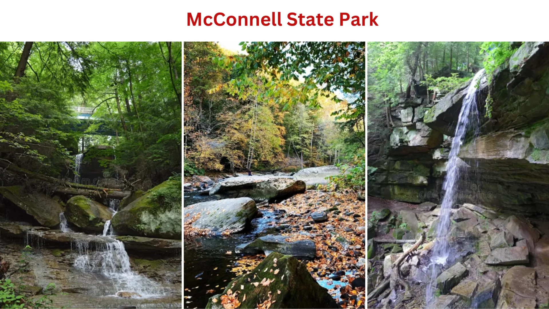 McConnell State Park