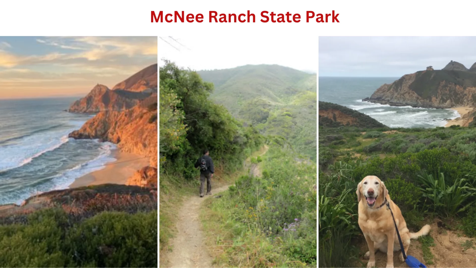 McNee Ranch State Park