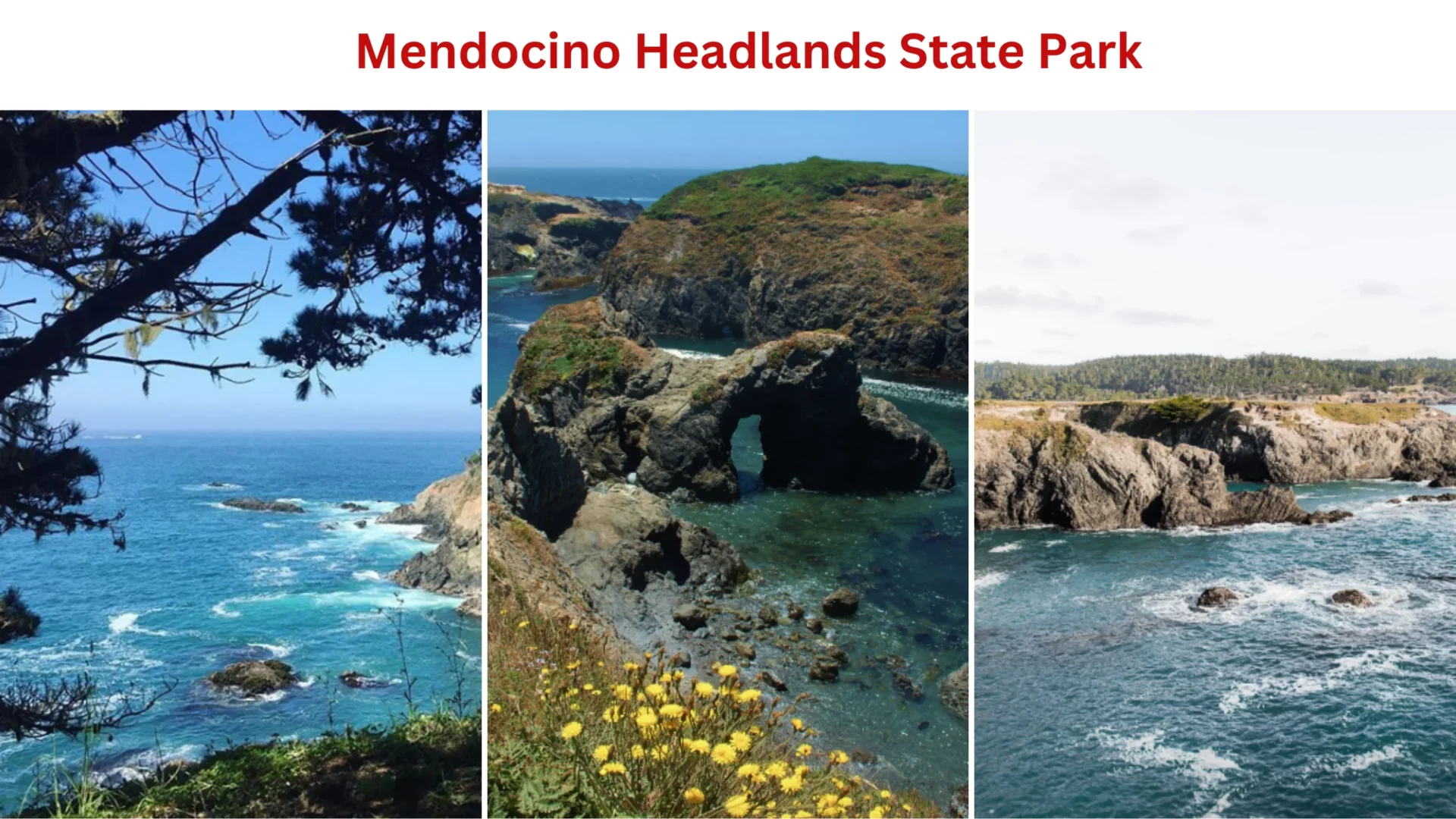 Mendocino Headlands State Park