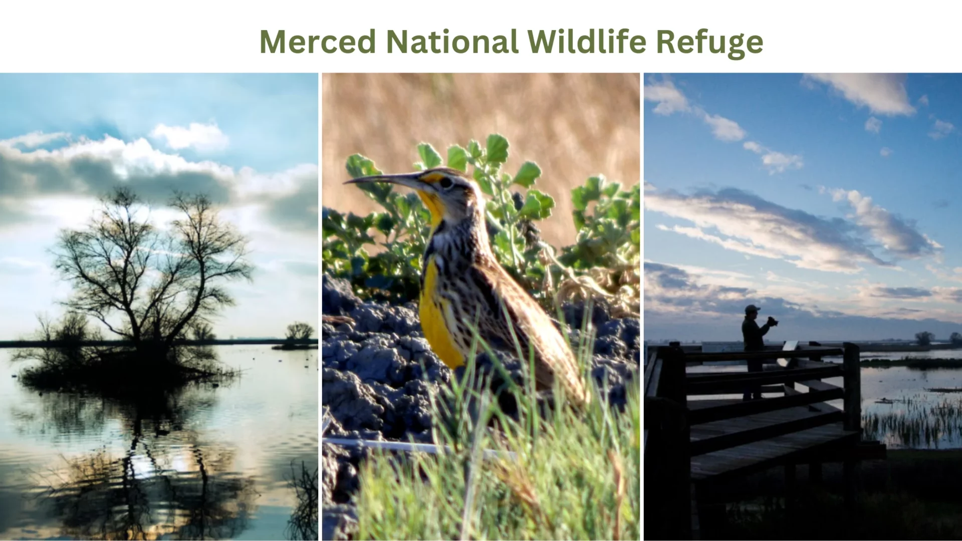 Merced National Wildlife Refuge