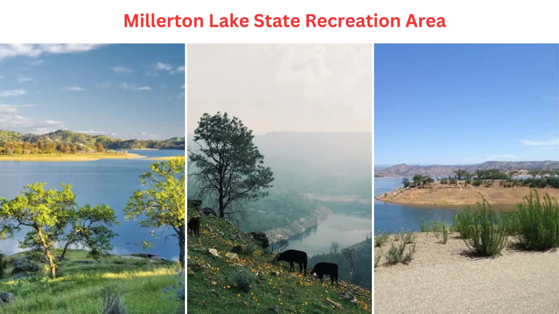 Millerton Lake State Recreation Area