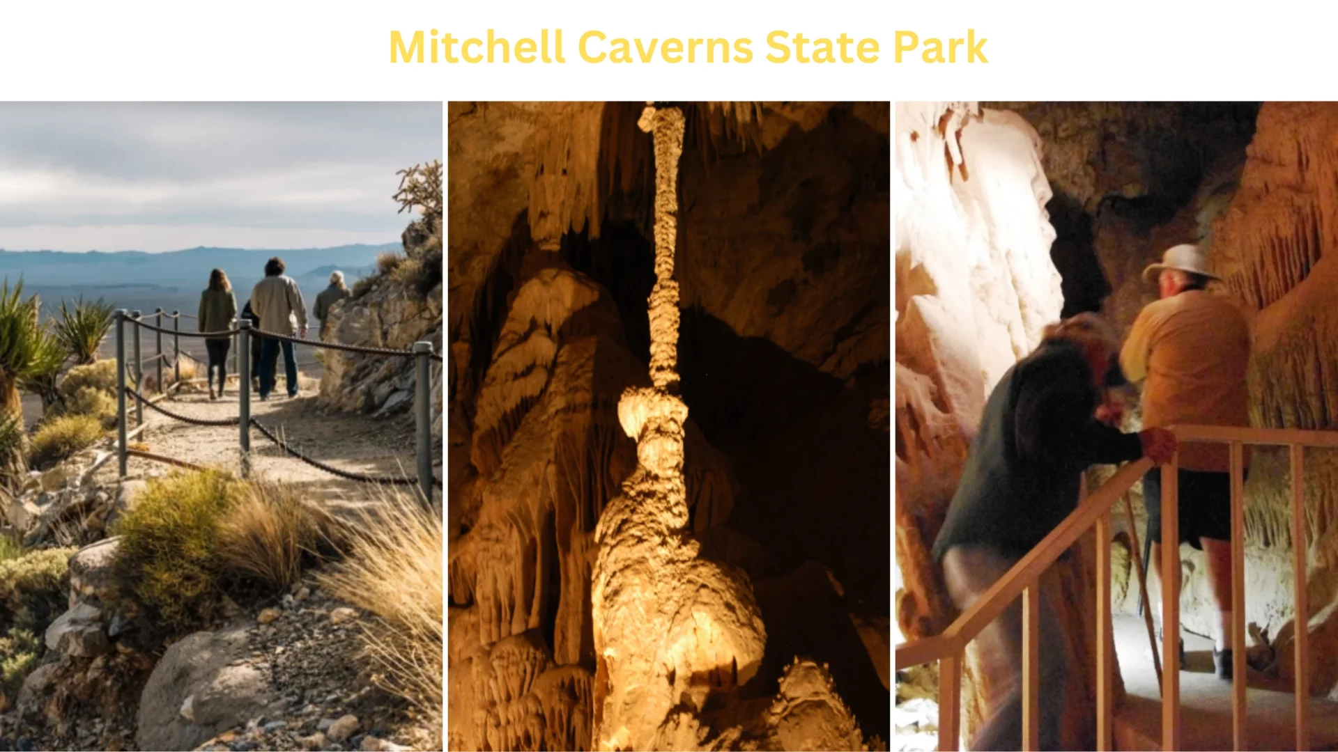 Mitchell Caverns State Park