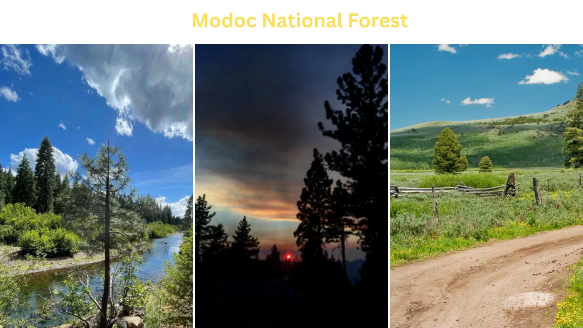 Modoc National Forest