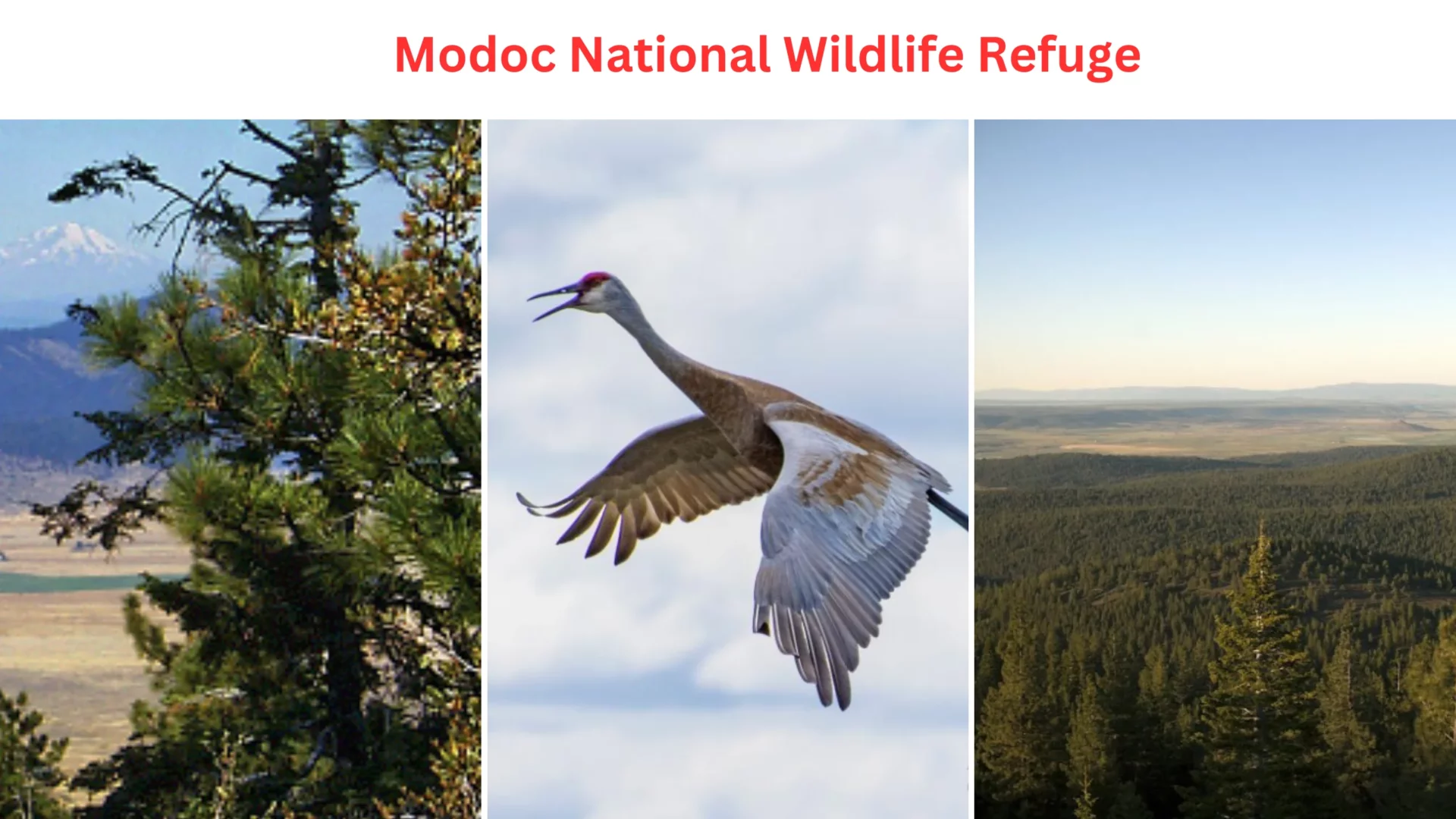 Modoc National Wildlife Refuge