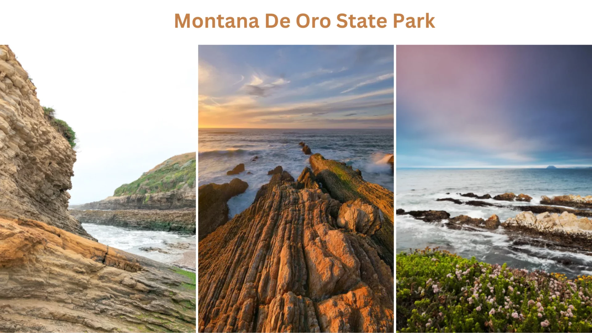 Montana De Oro State Park