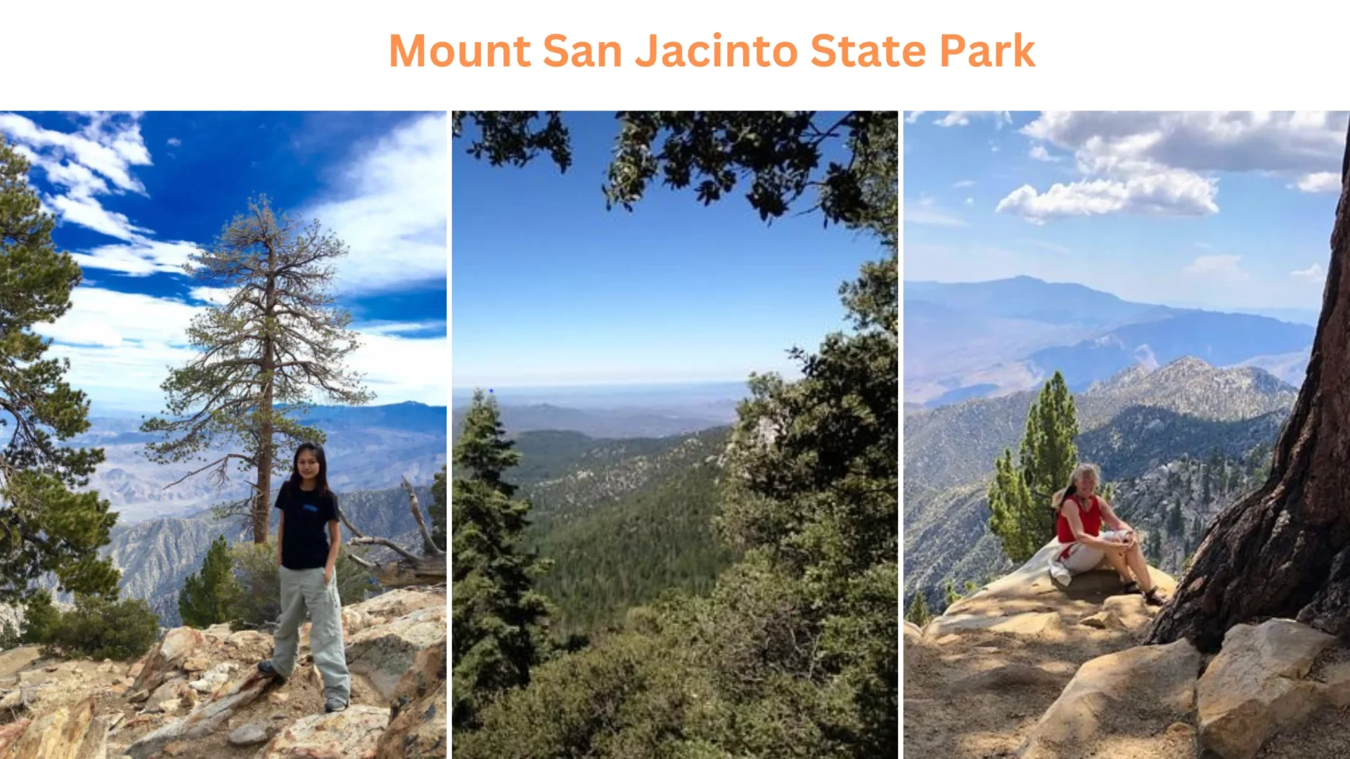 Mount San Jacinto State Park