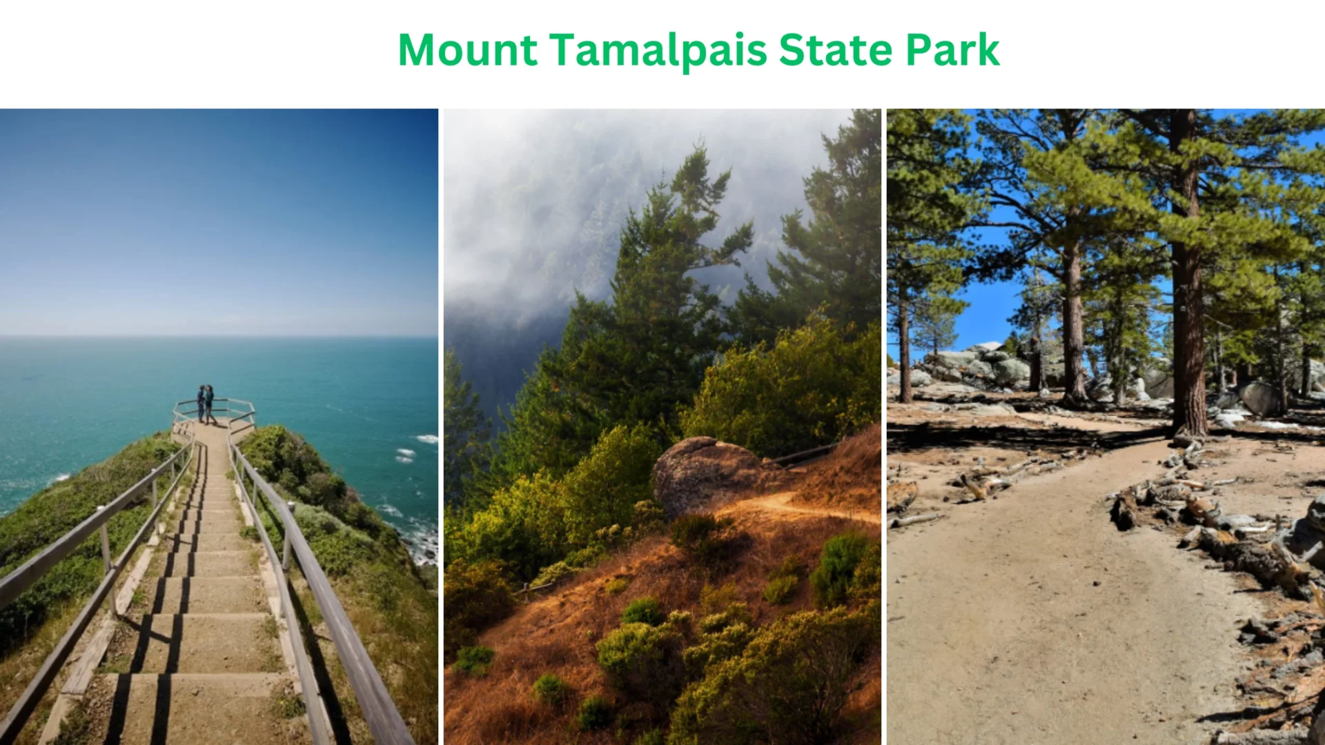 Mount Tamalpais State Park