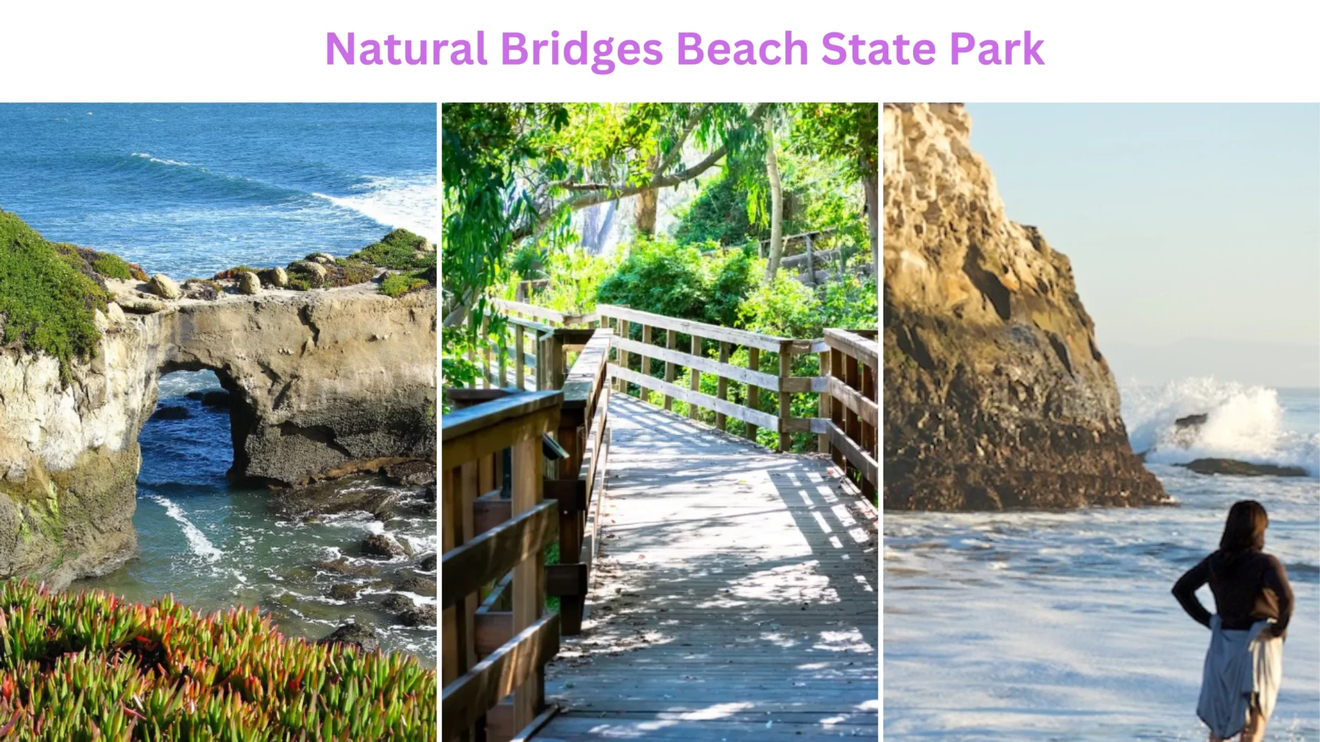 Natural Bridges Beach State Park