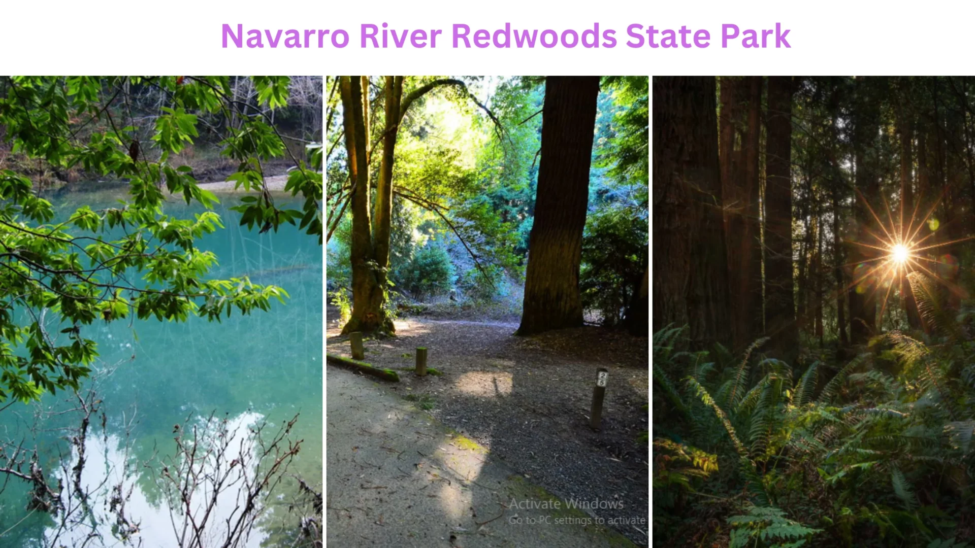 Navarro River Redwoods State Park