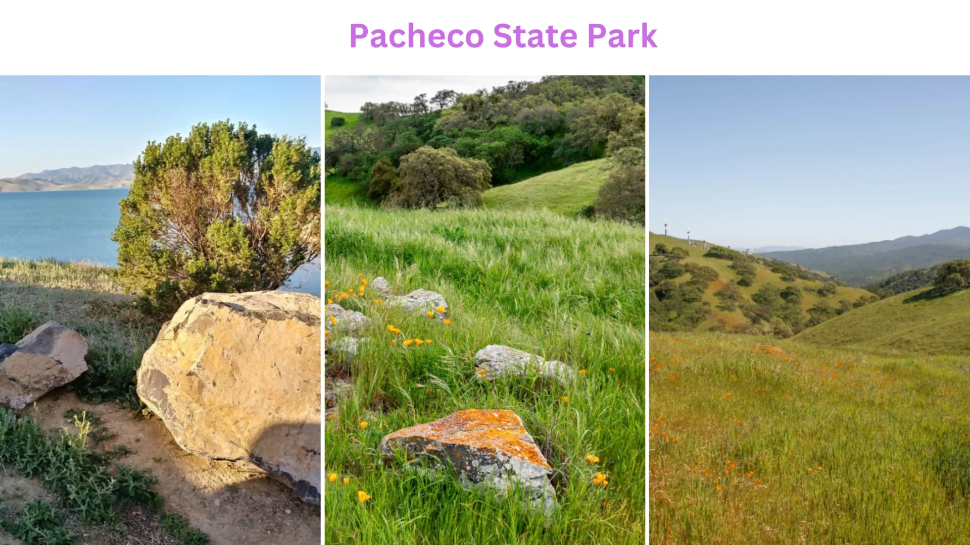 Pacheco State Park