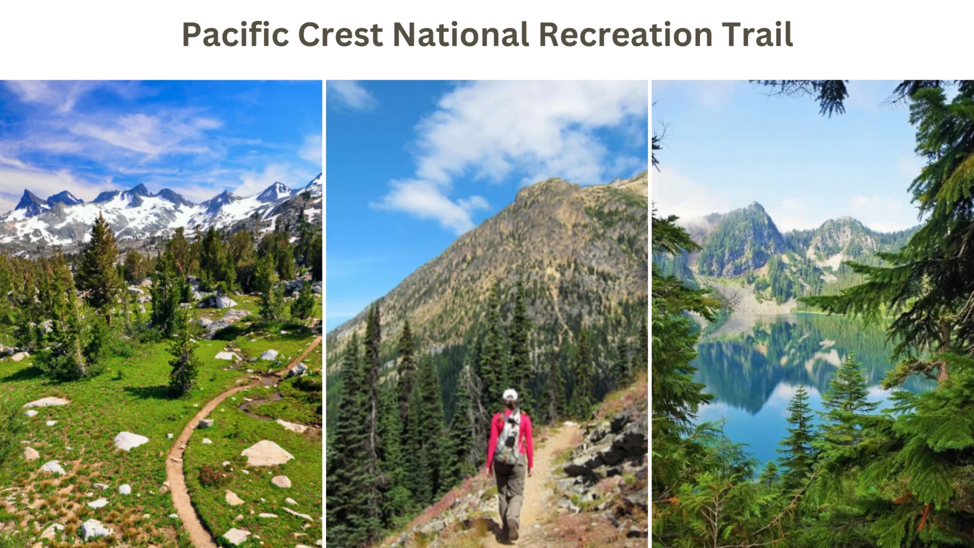 Pacific Crest National Recreation Trail