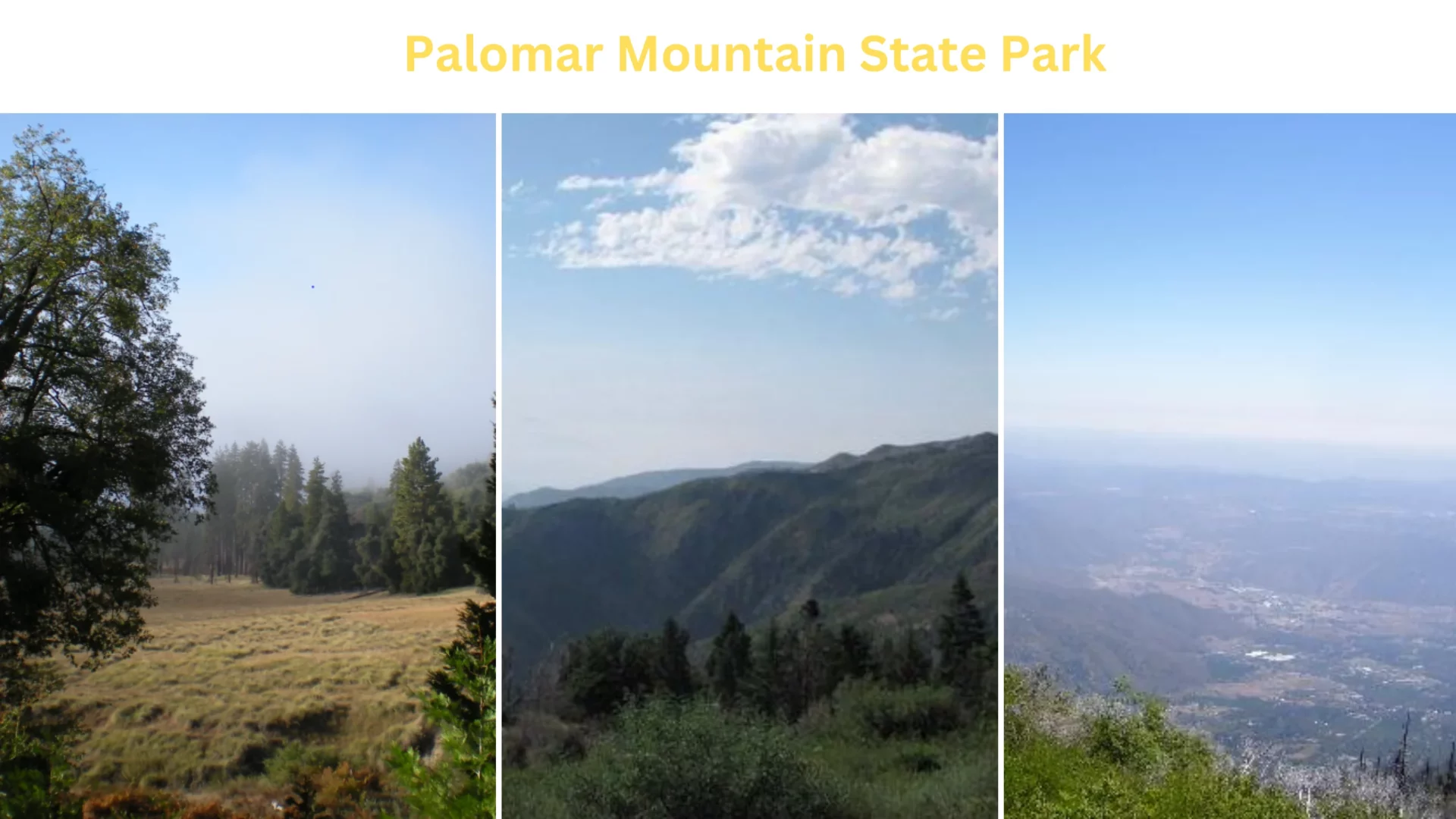 Palomar Mountain State Park