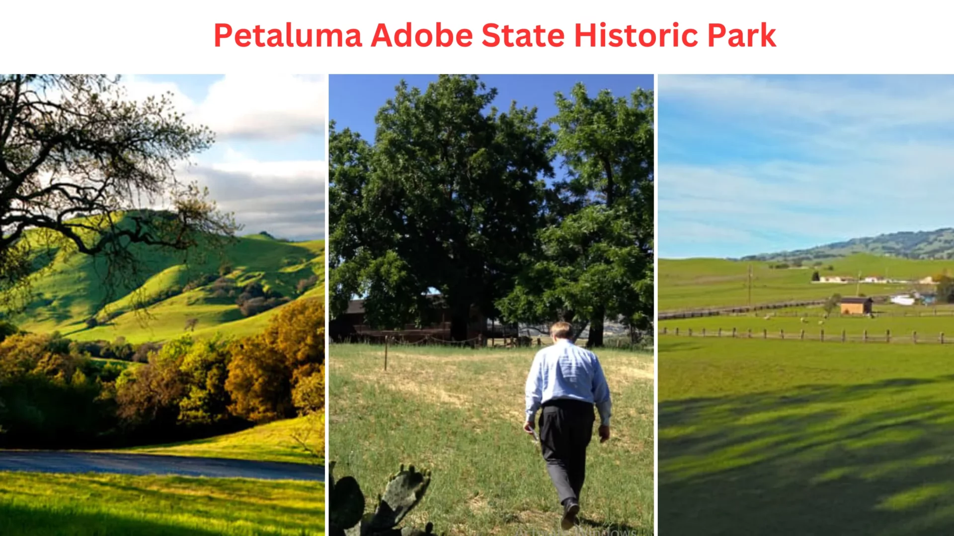 Petaluma Adobe State Historic Park