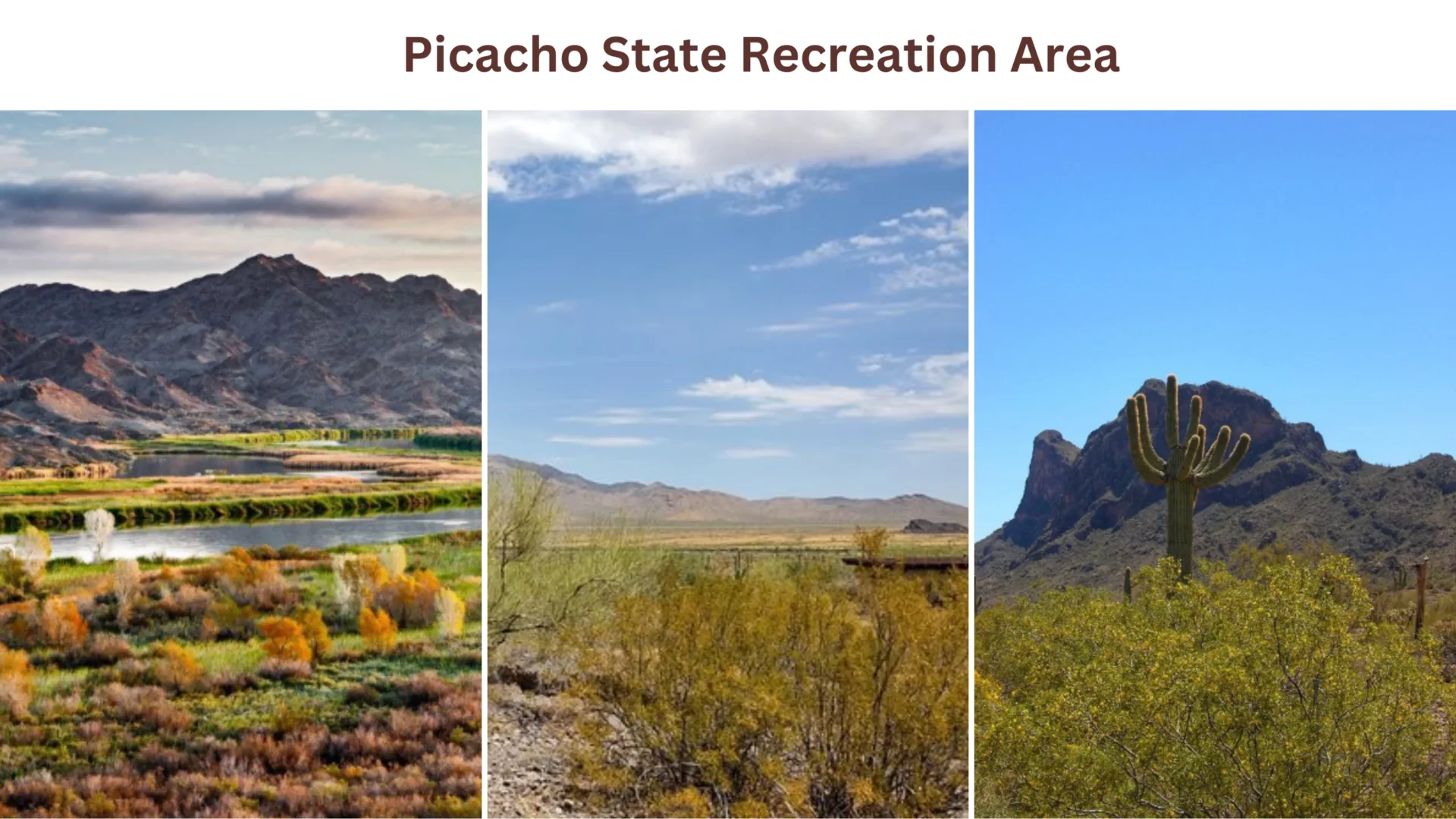 Picacho State Recreation Area