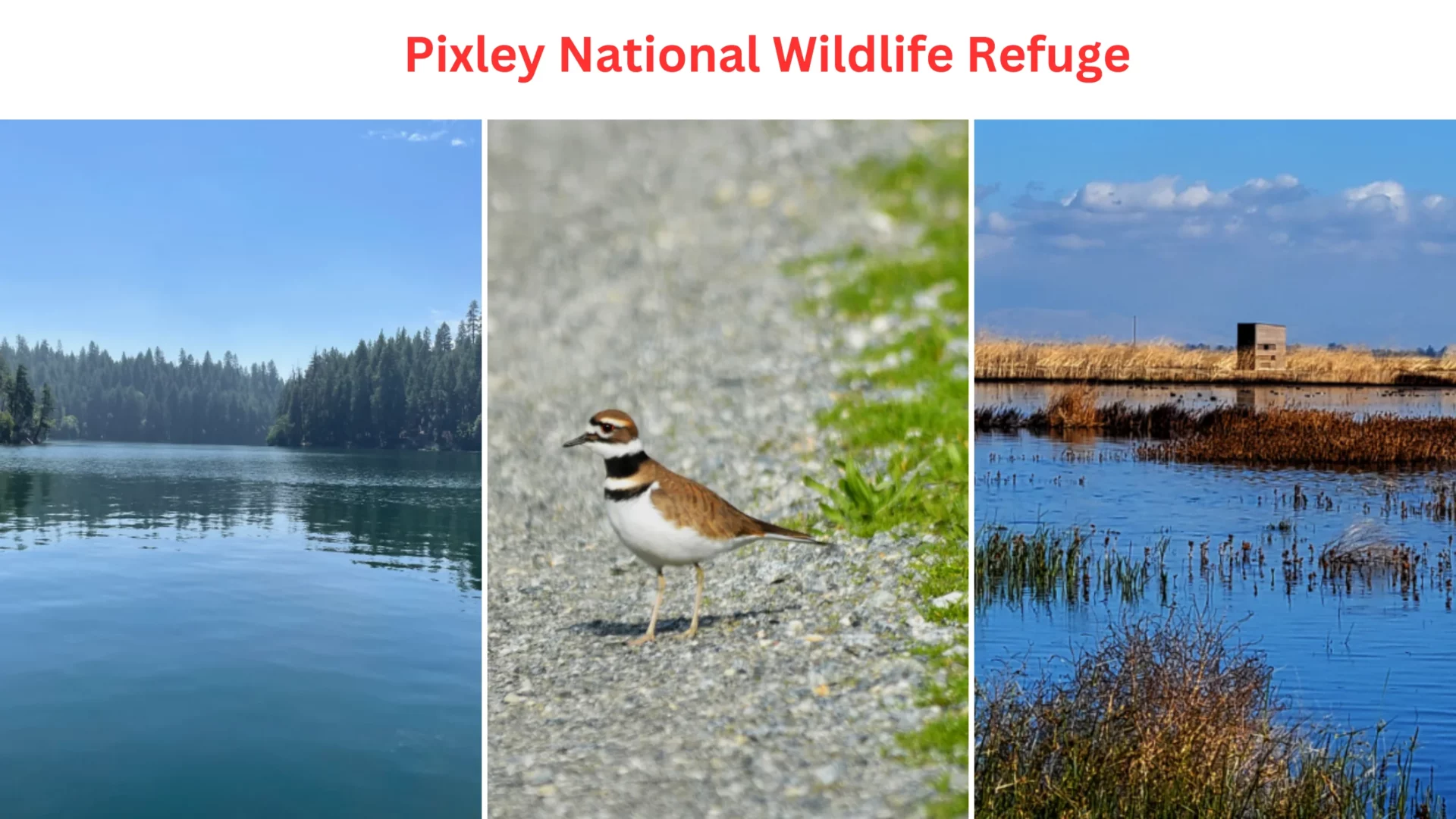 Pixley National Wildlife Refuge