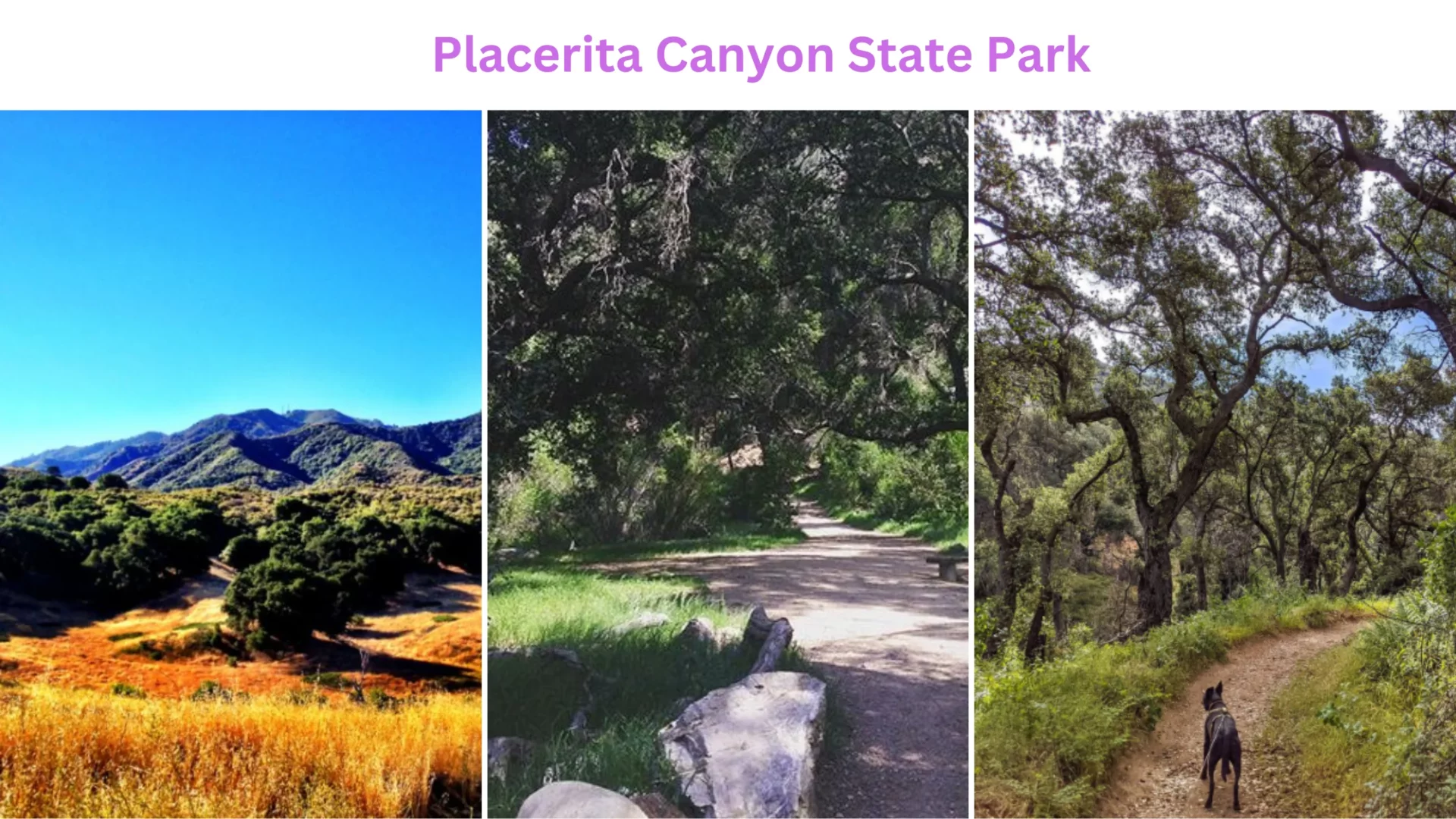 Placerita Canyon State Park