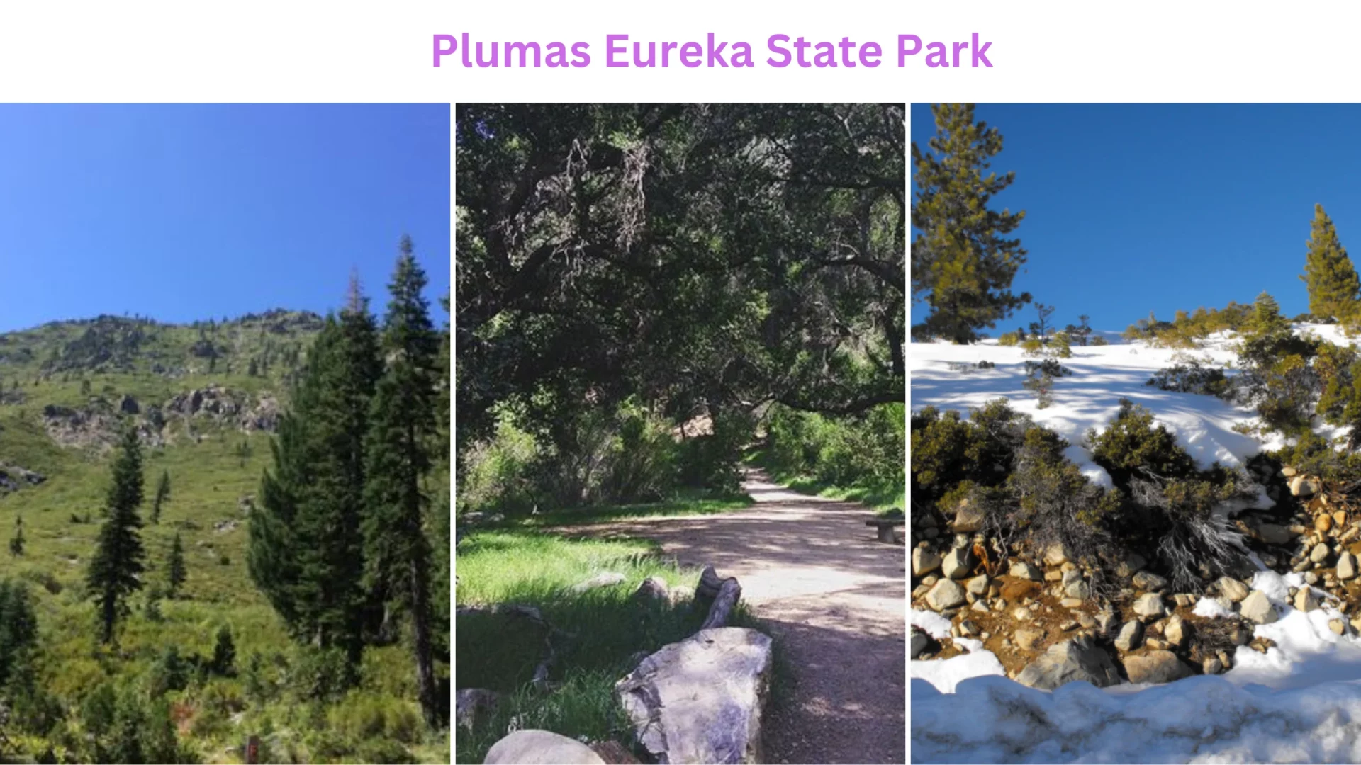 Plumas Eureka State Park