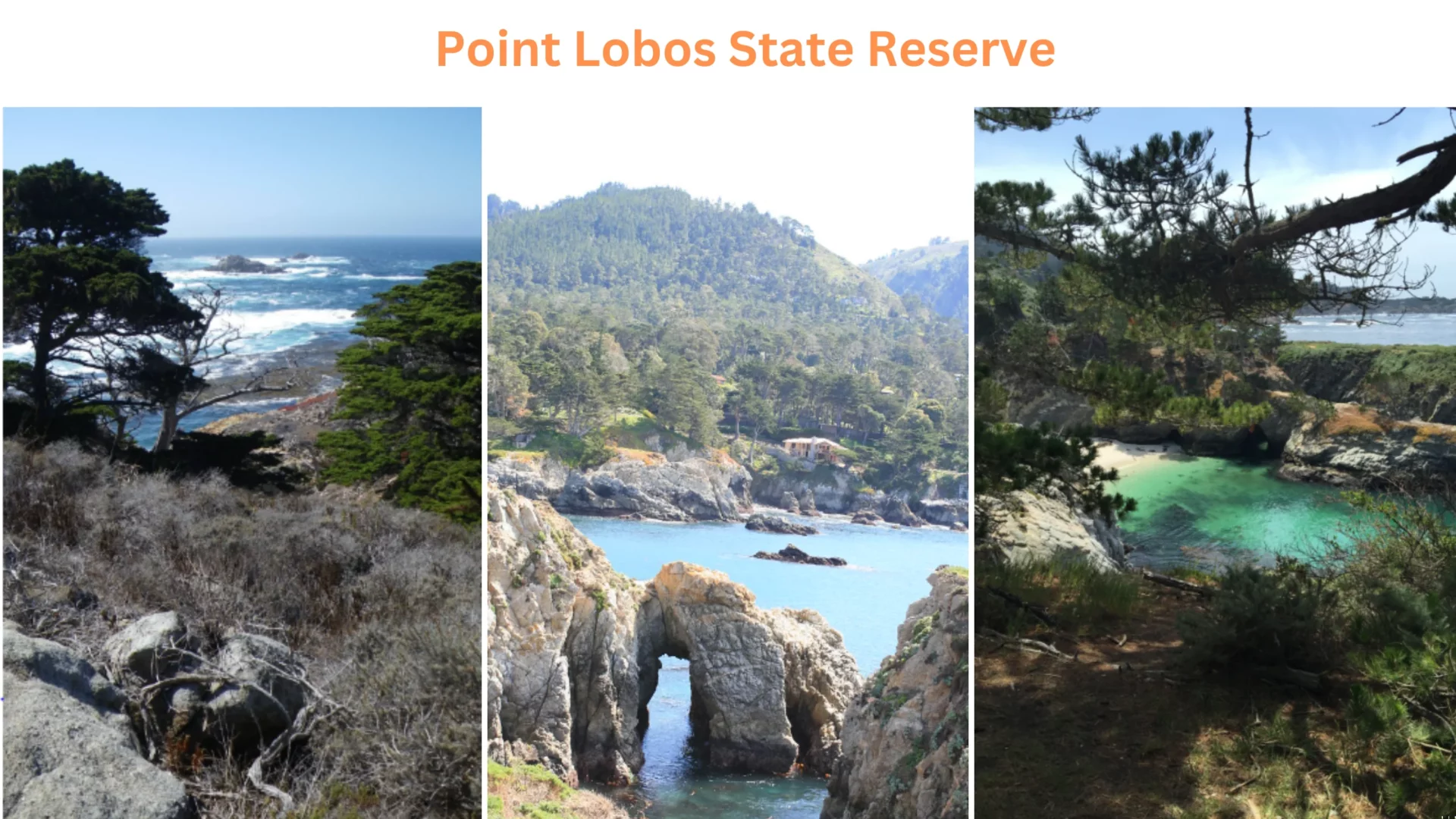 Point Lobos State Reserve