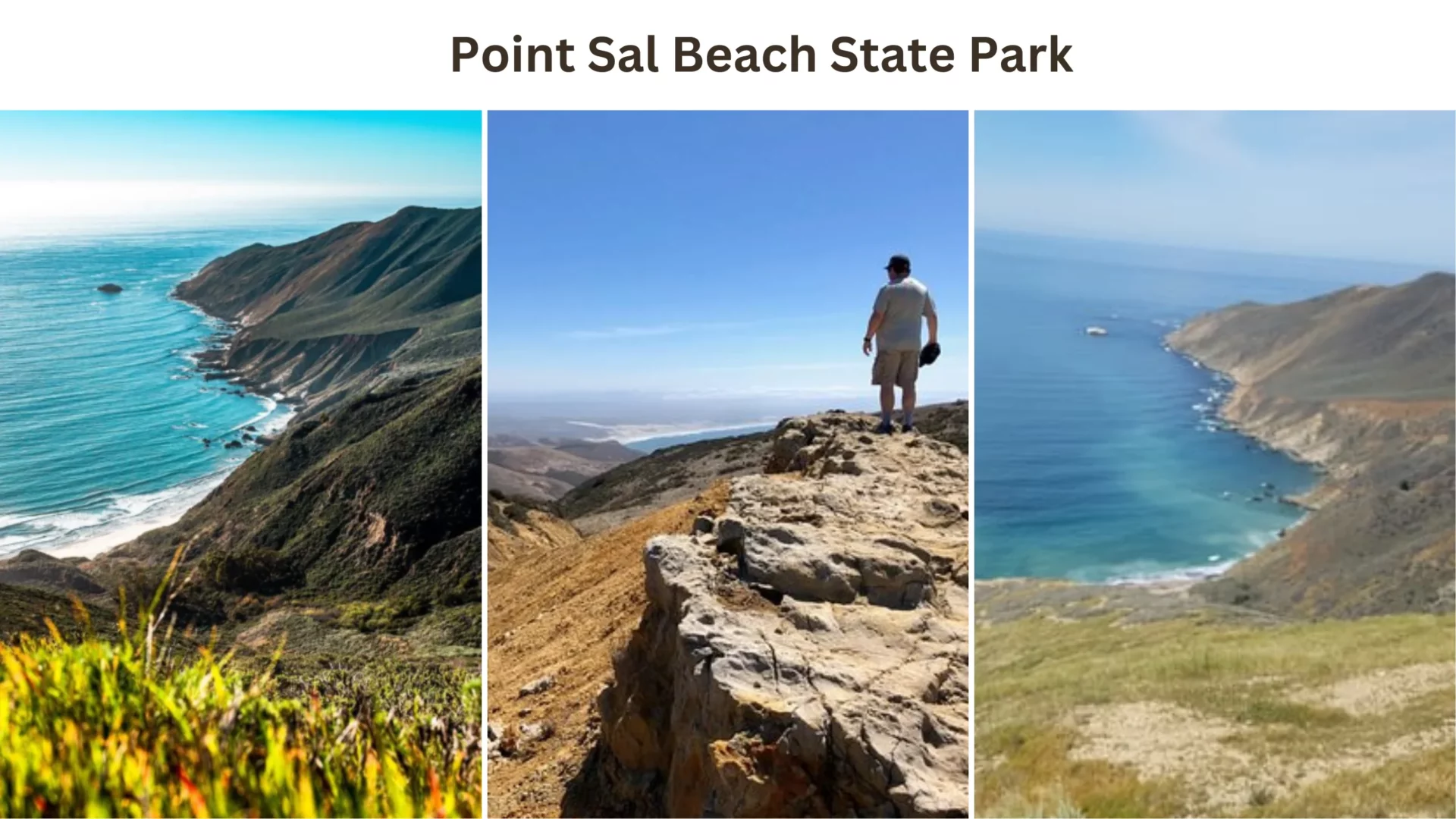 Point Sal Beach State Park